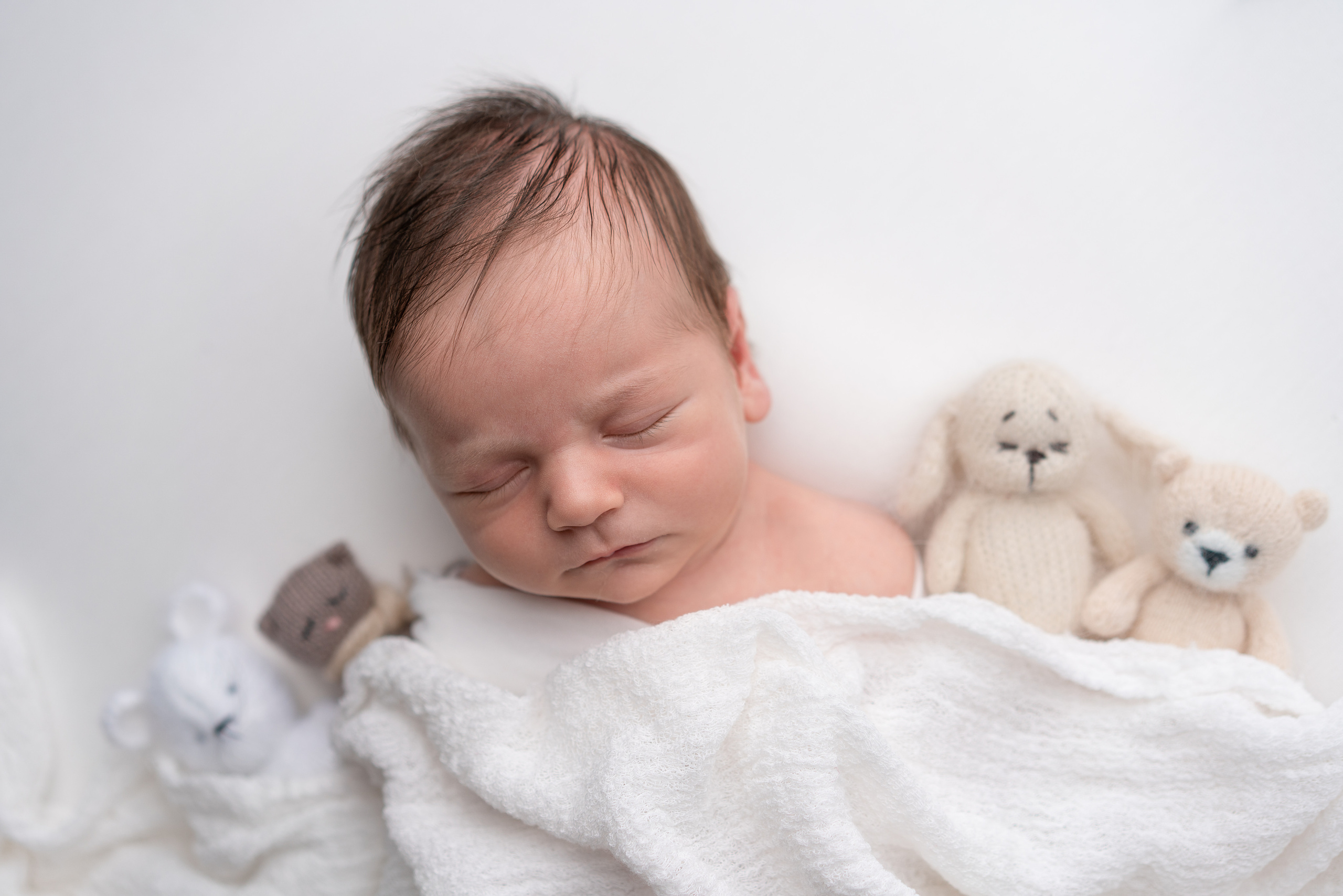 Новорожденный Давид