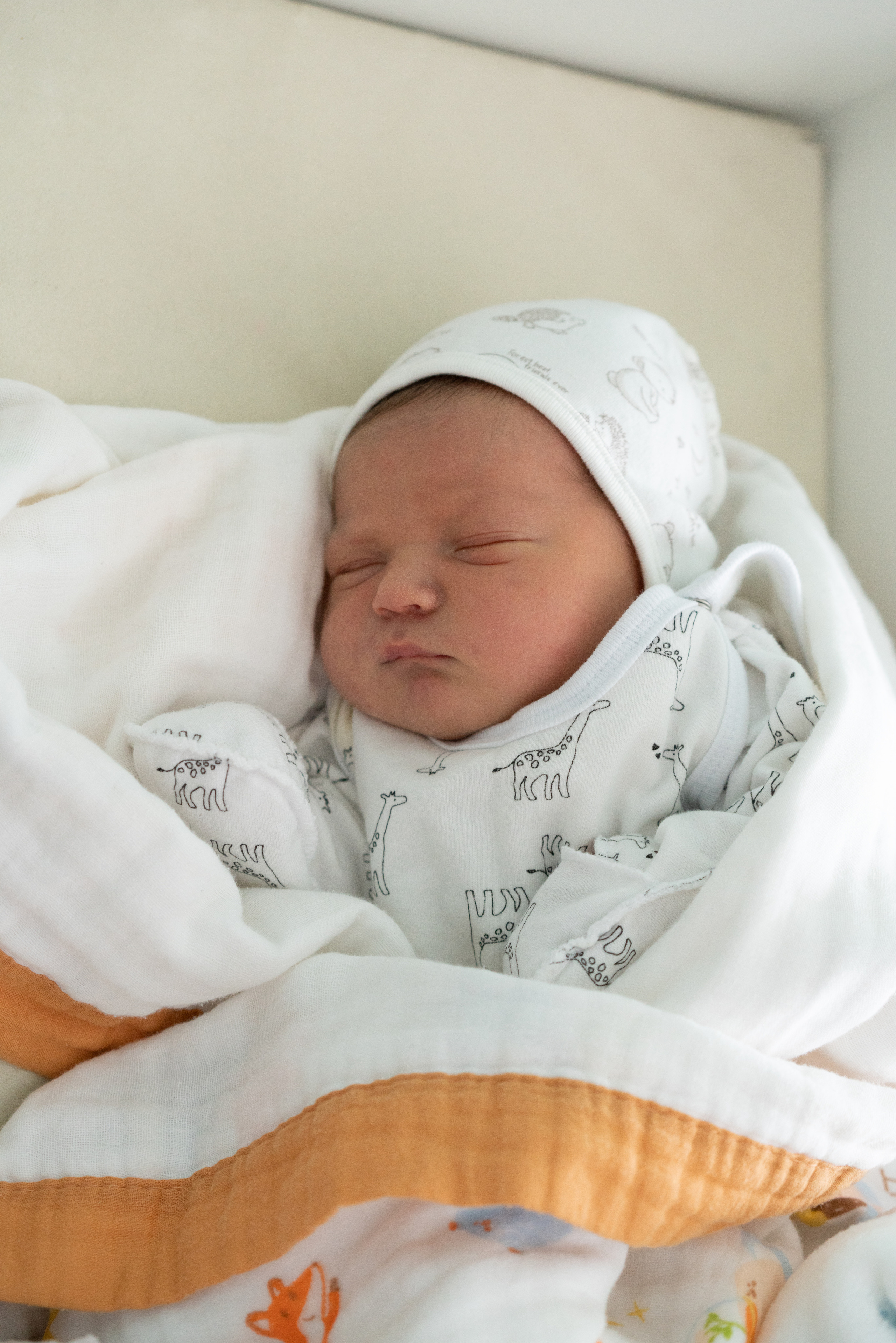 Выписка из роддома Лёвушки