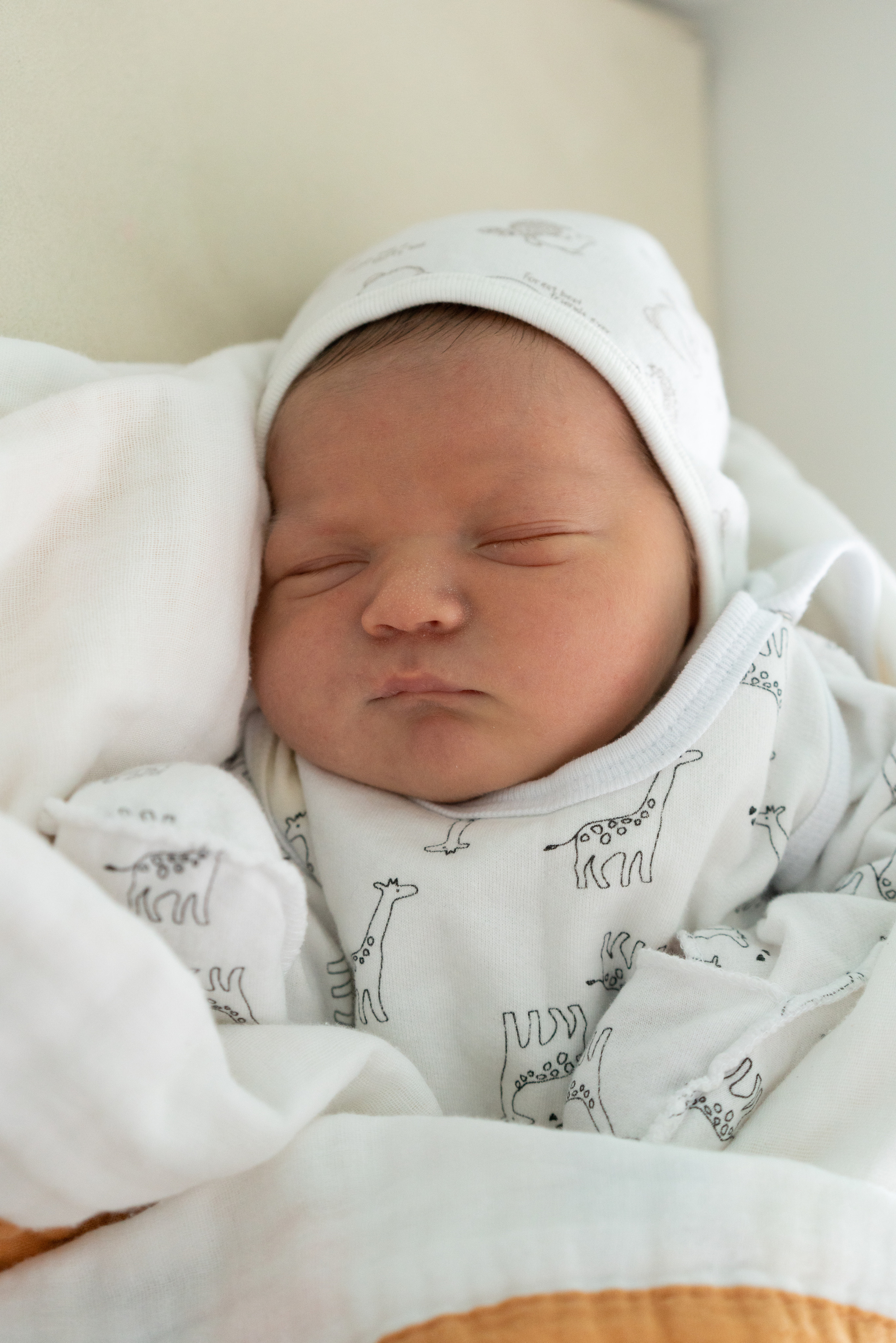 Выписка из роддома Лёвушки