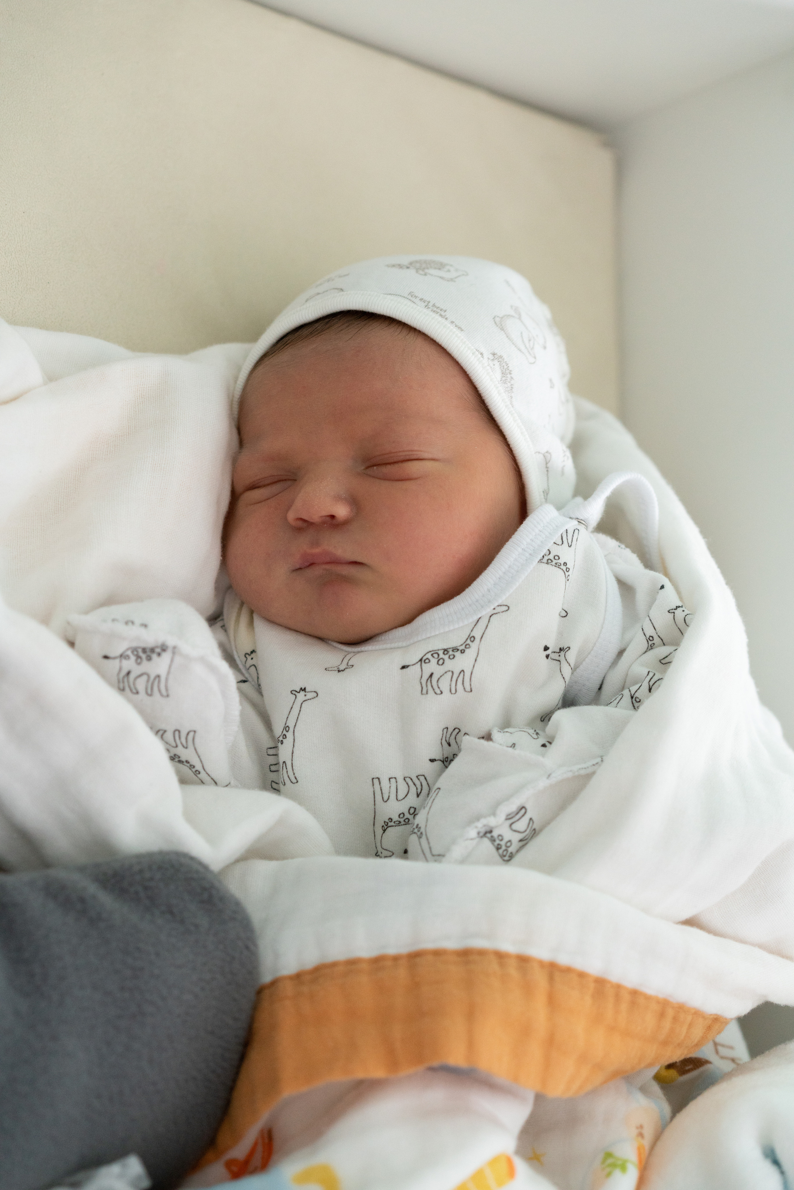 Выписка из роддома Лёвушки