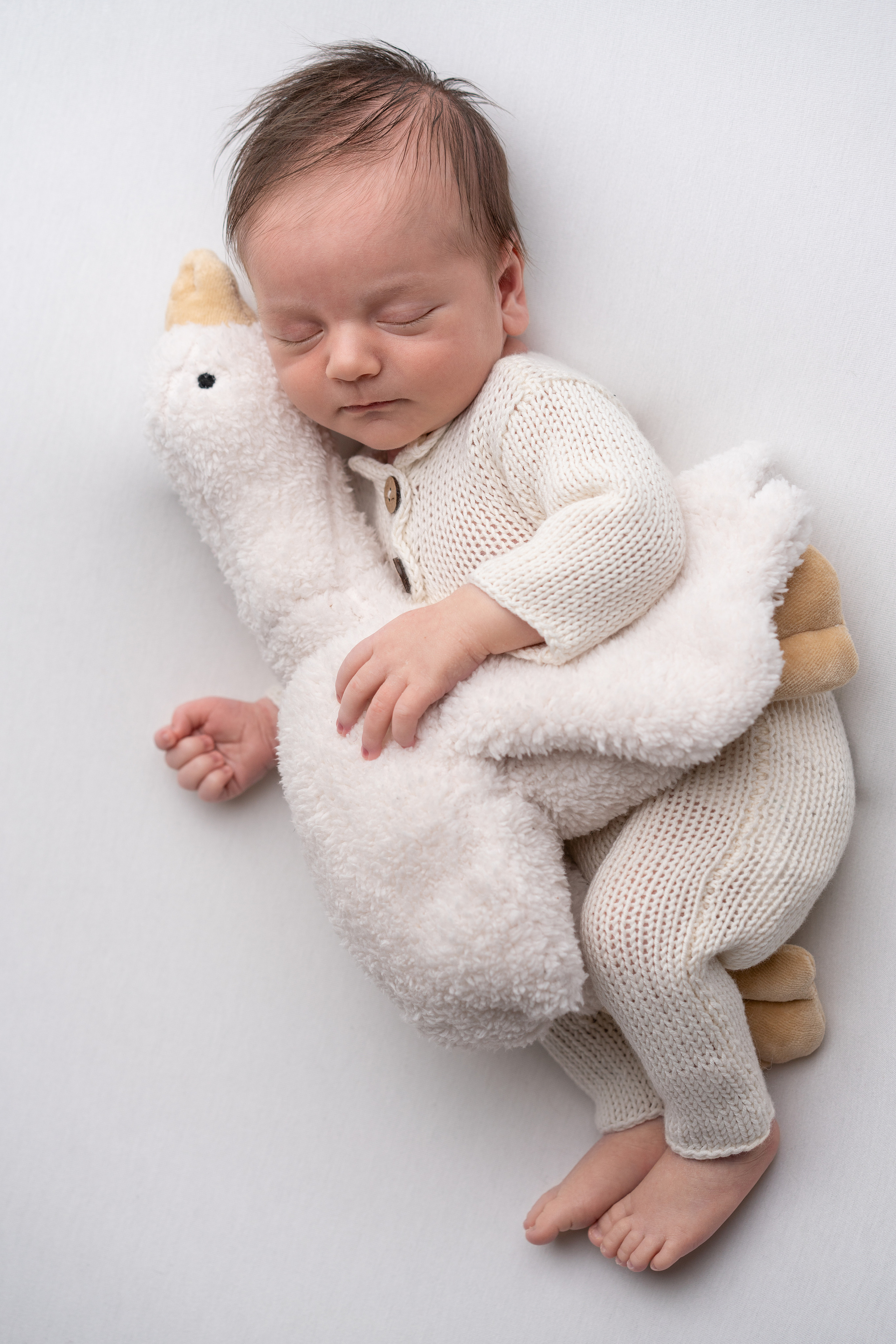 Новорожденный Давид