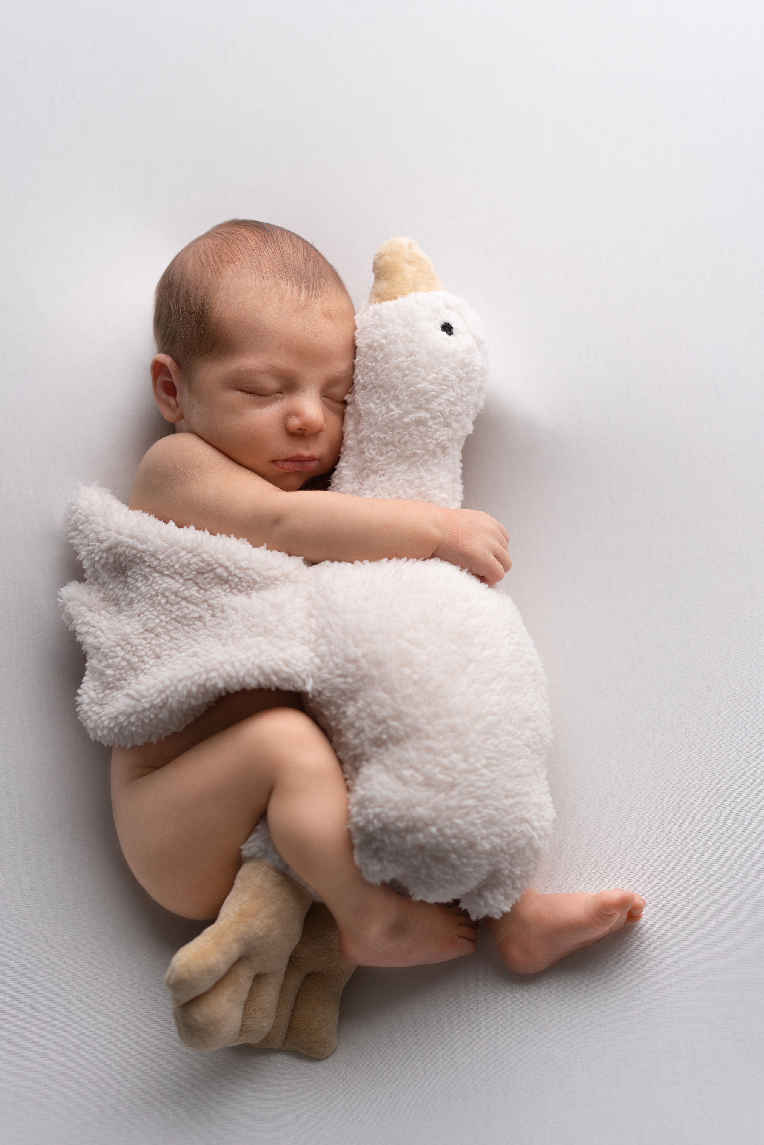 Новорожденный Мишутка