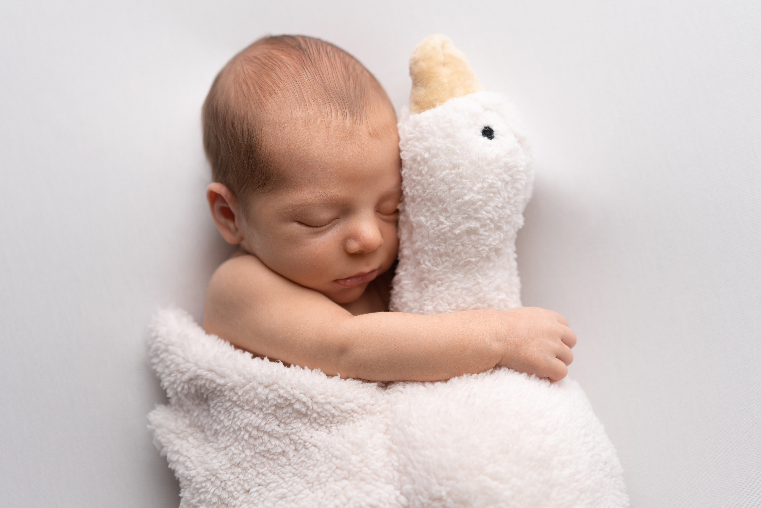 Новорожденный Мишутка