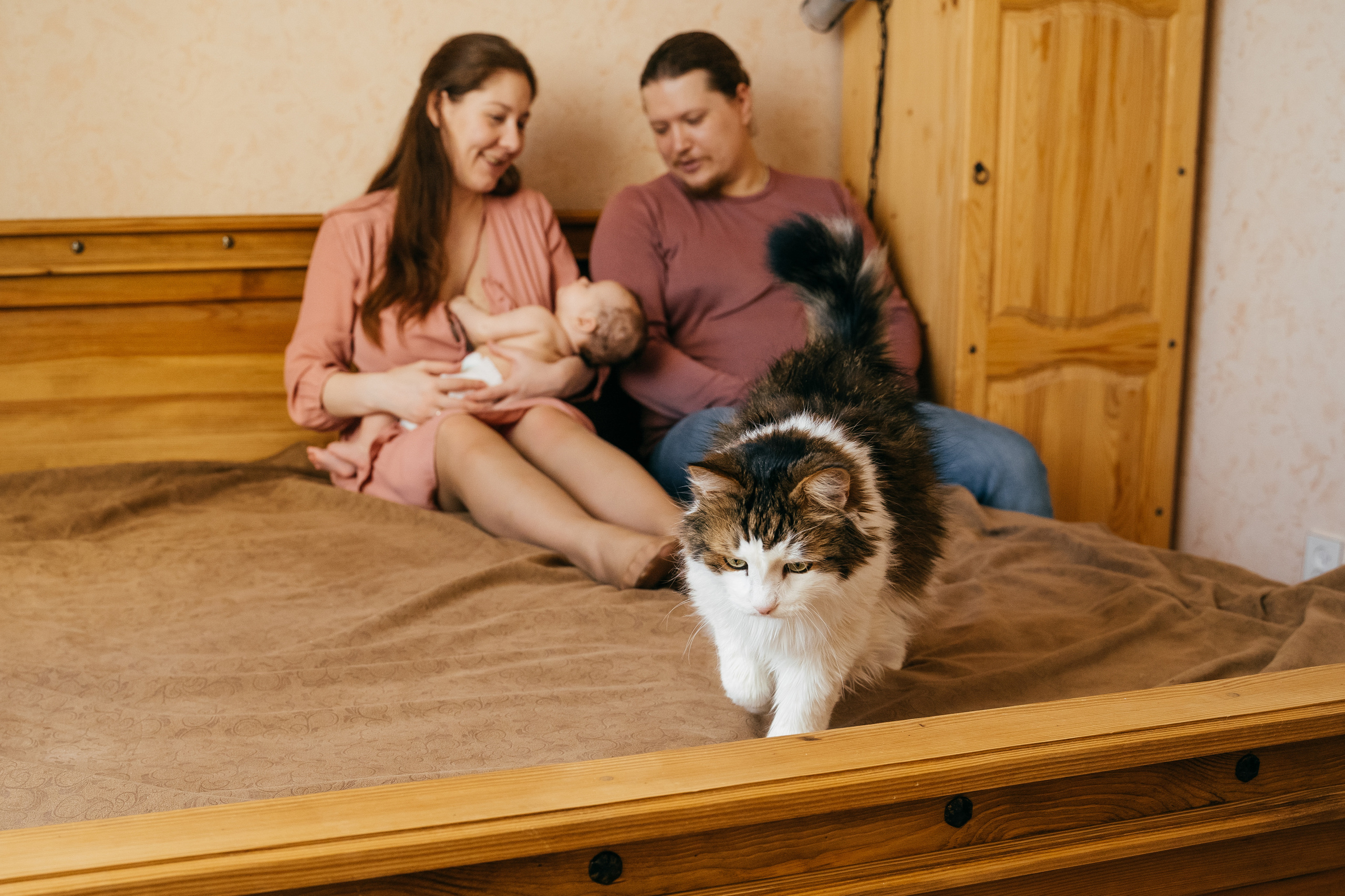 Малышка Кирочка, мама Лена, папа Саша и пушистый котик. Свадебный и семейный фотограф в Нижнем Новгороде Коданева Ольга