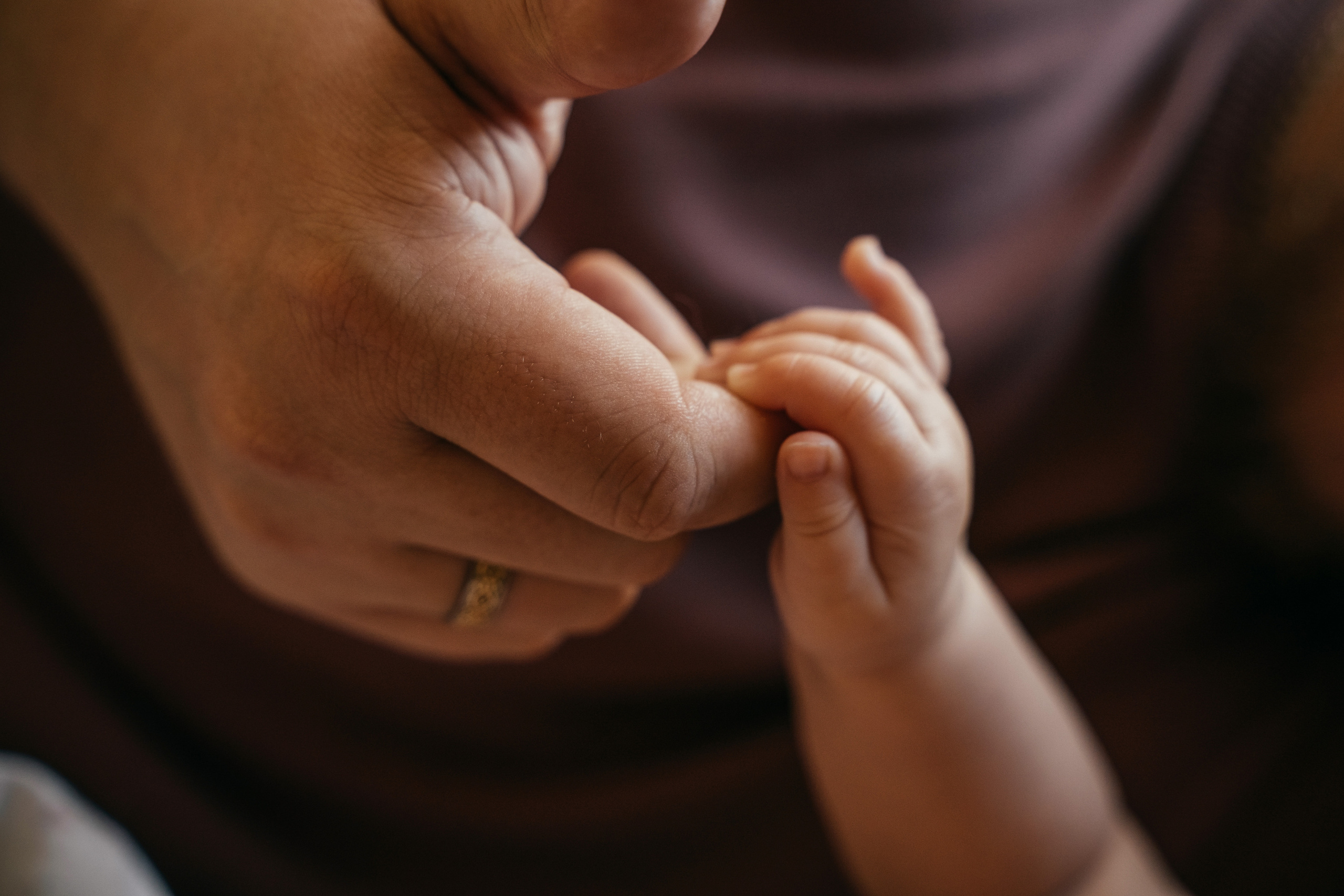 Малышка Кирочка, мама Лена, папа Саша и пушистый котик. Свадебный и семейный фотограф в Нижнем Новгороде Коданева Ольга