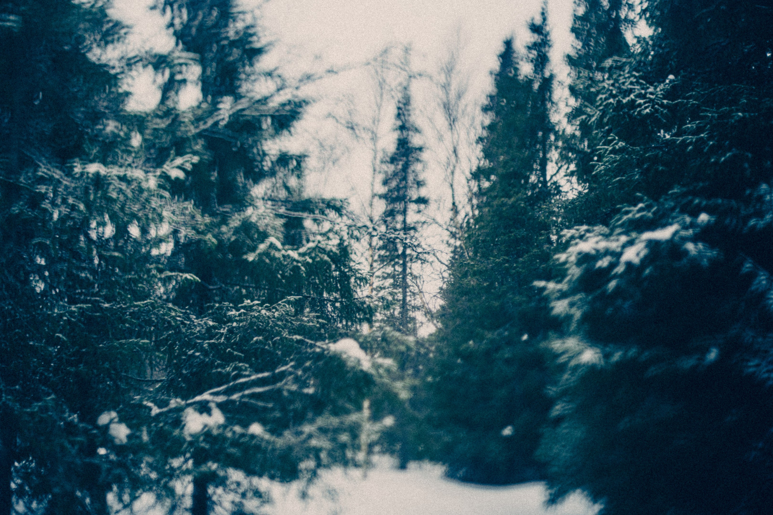 Священное озеро. Фотограф * Вячеслав Скоробогатов * Визульный Артист