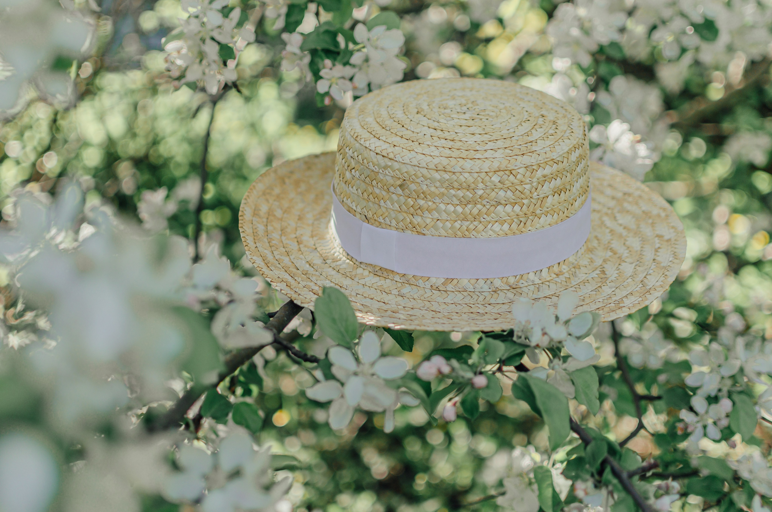 Фотосессия в цветении Сергиева Посада. Свадебный фотограф в Сергиевом Посаде недорого Ольга Гузанова