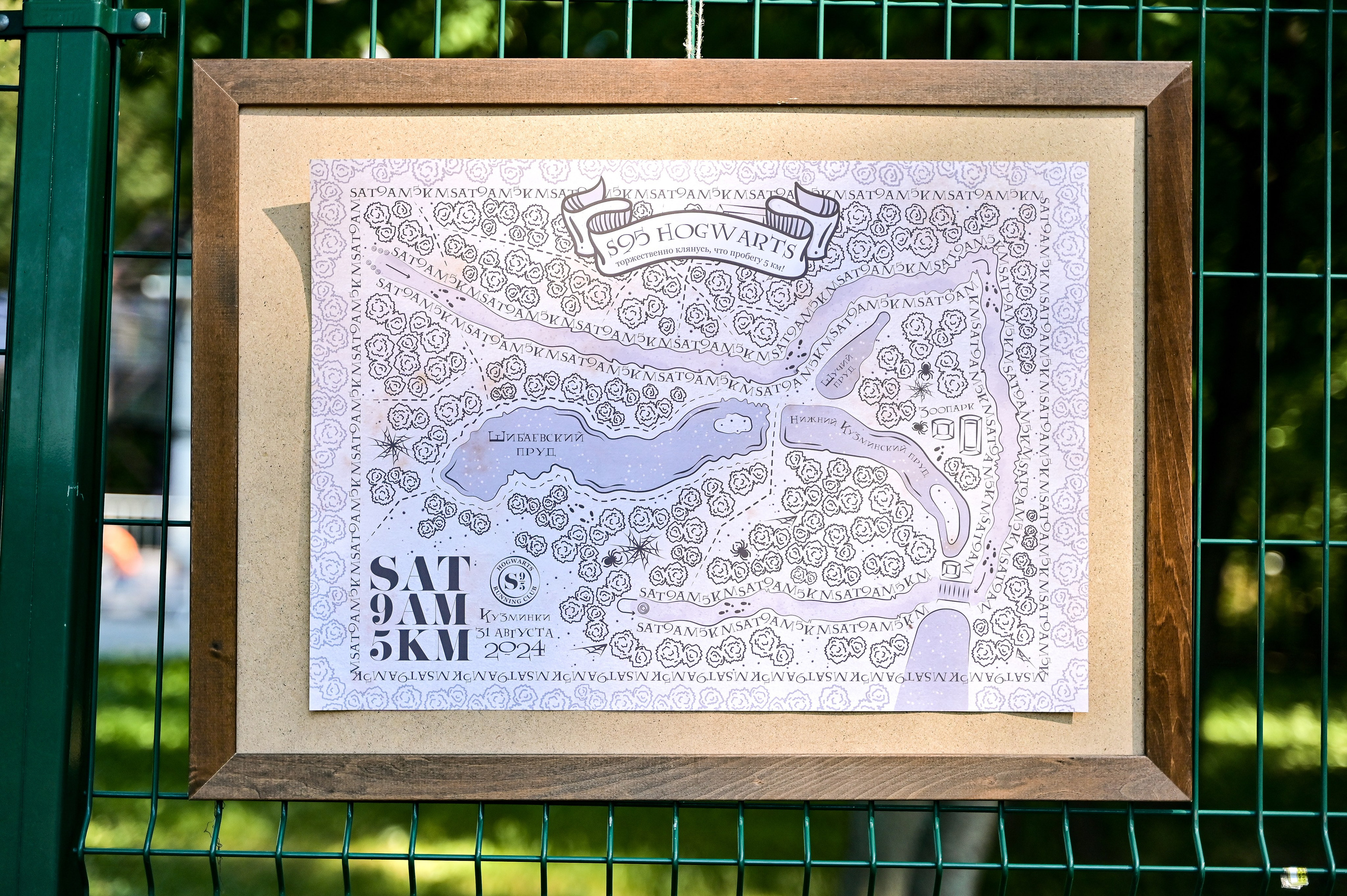 S95 Harry Potter Кузьминки (31.08.24). Фотограф | Ирина Гамзинова | Москва
