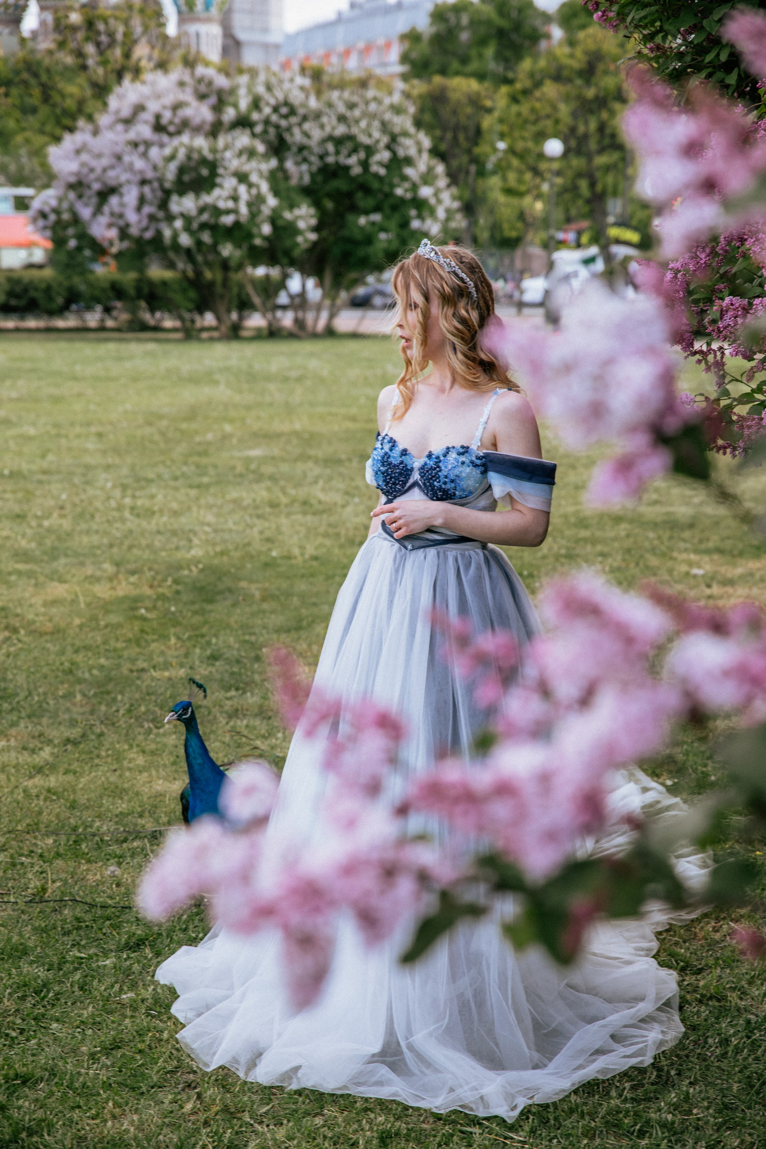 Павлин. Elena Sova — семейный и женский фотограф в Санкт-Петербурге