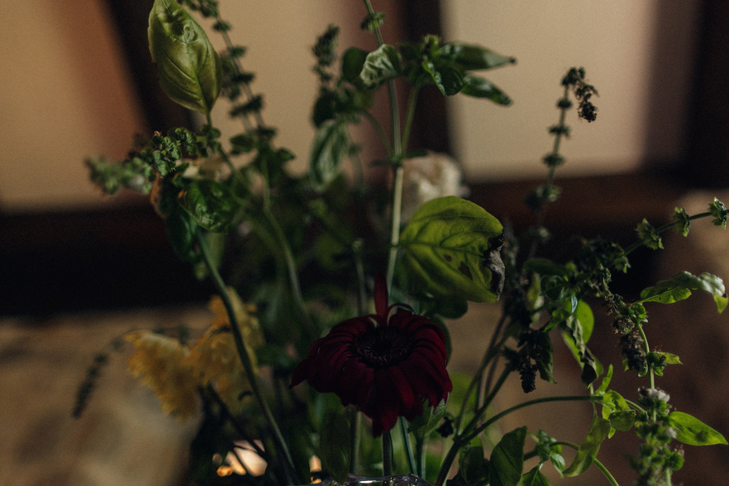 Julie and George. Elopement Wedding Photographer