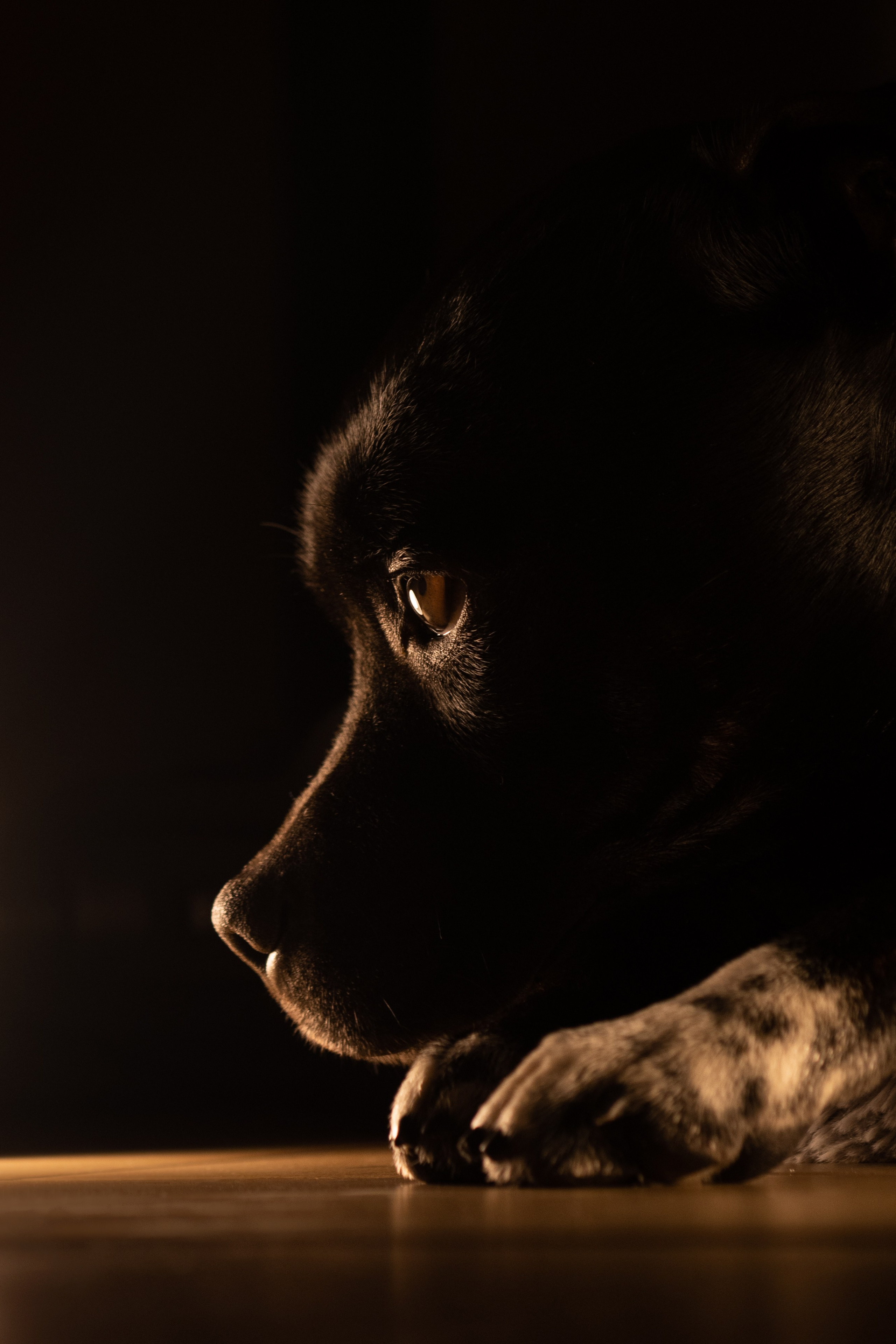 Отзывы. Фотограф Анастасия Ветковская, Москва