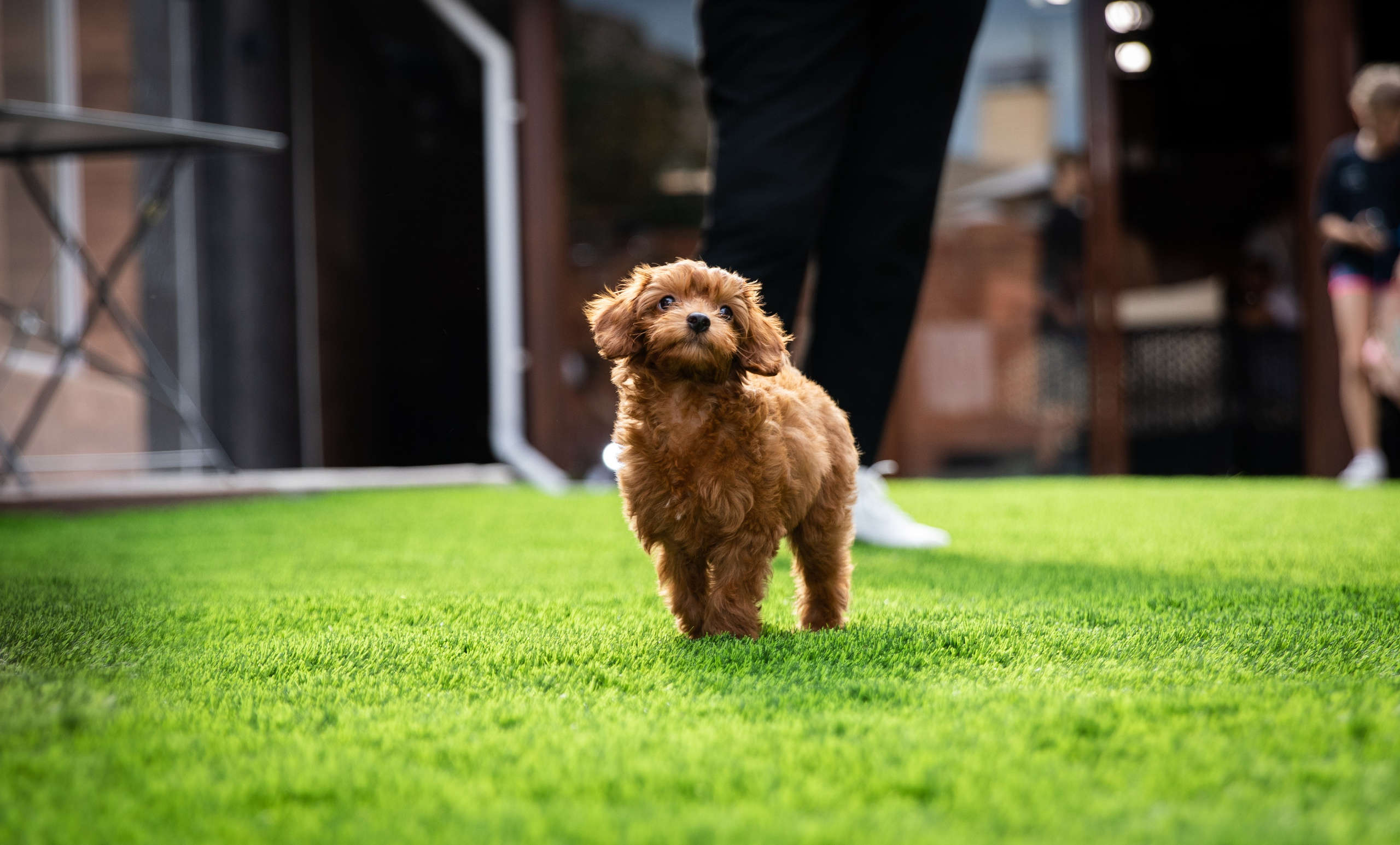 День Рождения Егорки -2025. VoronEvent. Репортажный и свадебный фотограф в Челябинске Елисеев Павел