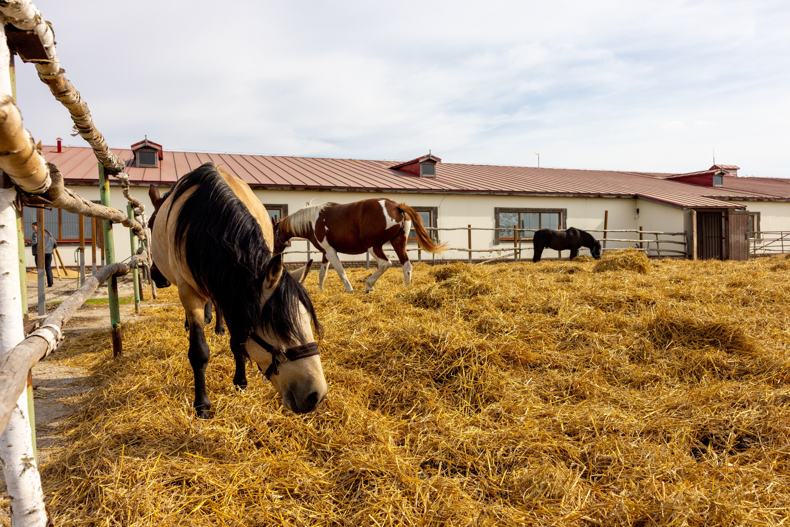 Поездка на поле Кулеково. Фотограф в Туле Крупский АнДРей. Фотостудия «КАДР71» в Туле