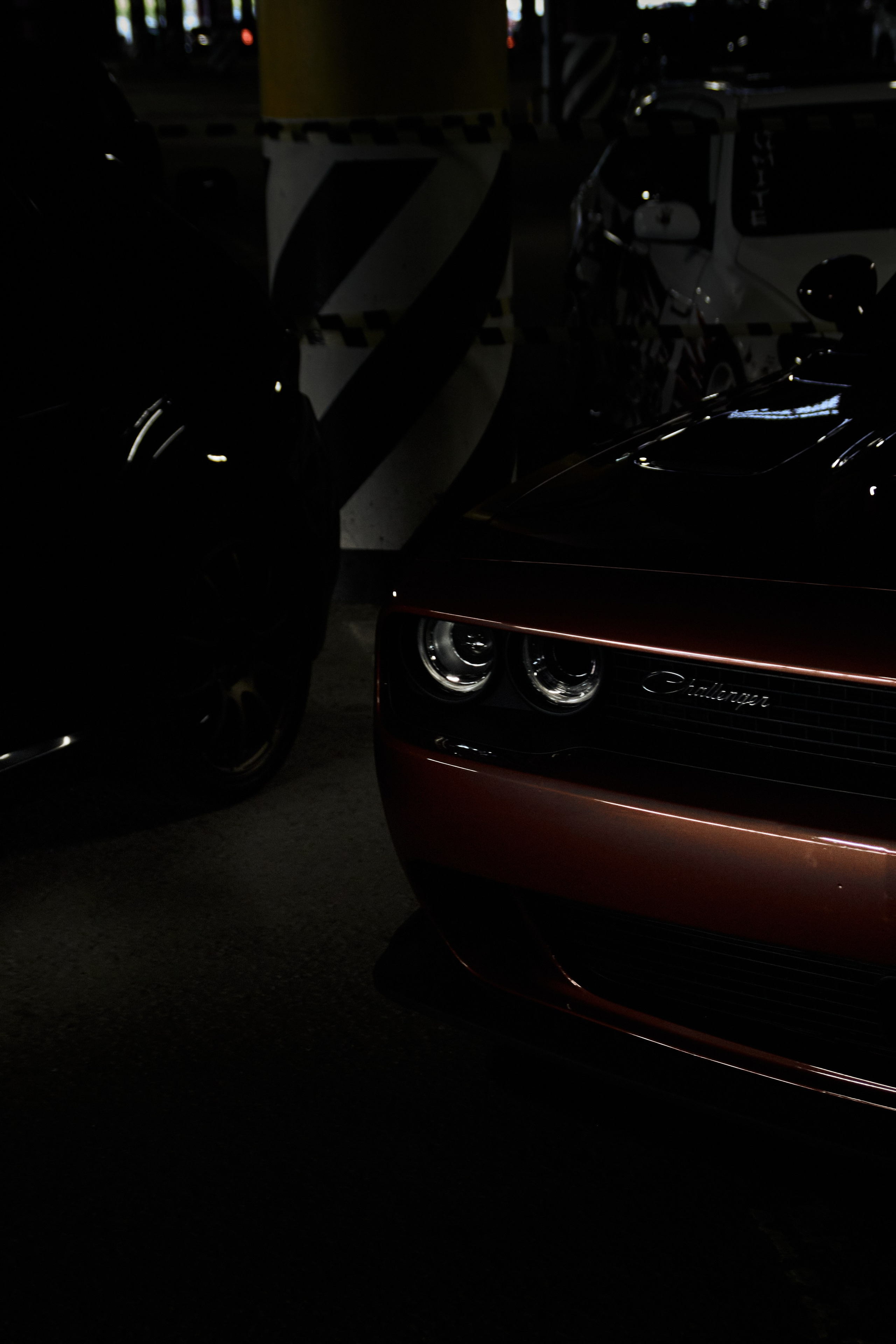 DNB 24. Фотограф Александр Рауш