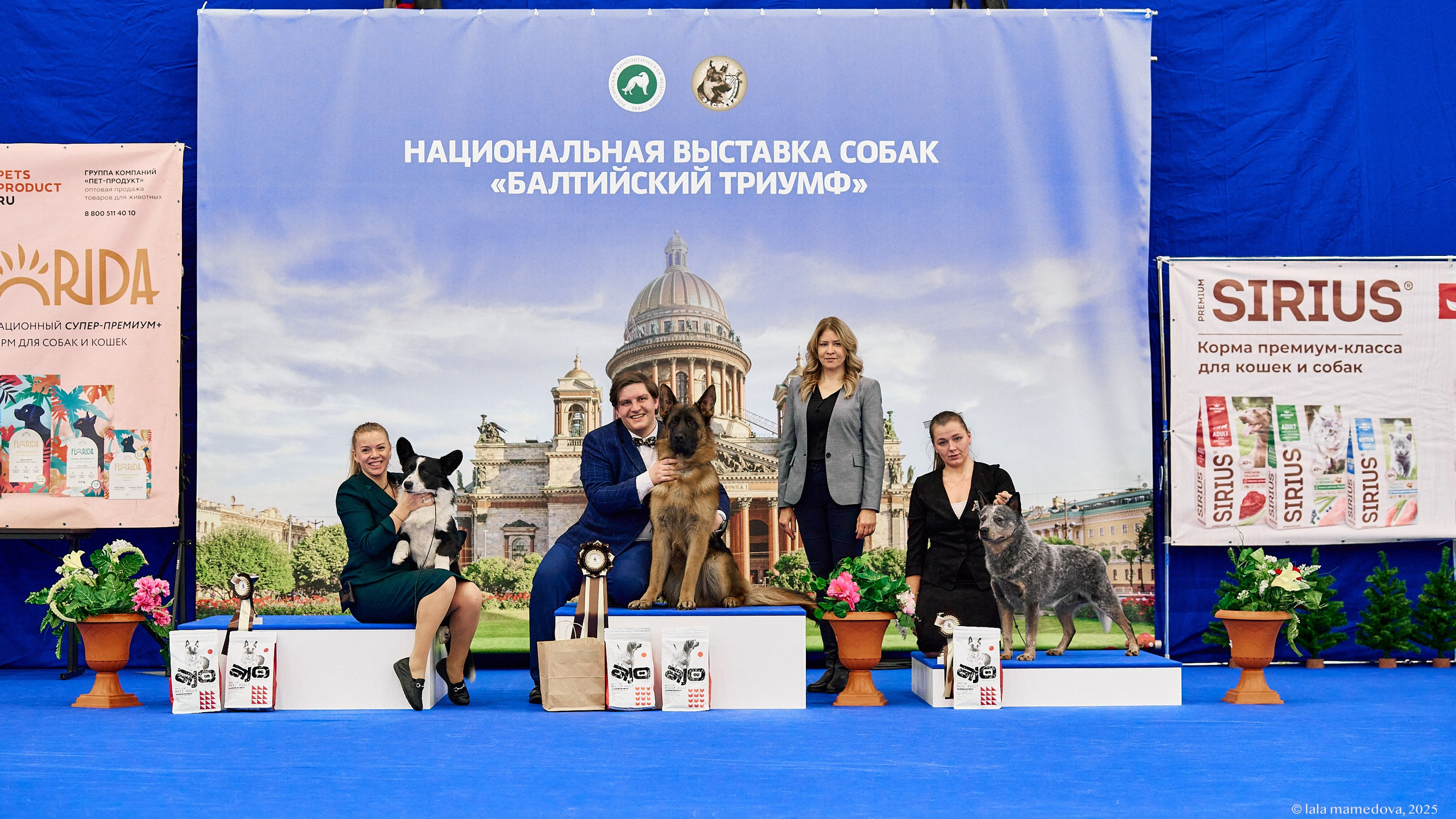 22-23 FEB 2025 | NATIONAL DOG SHOW «BALTIC TRIUMPH-2025»