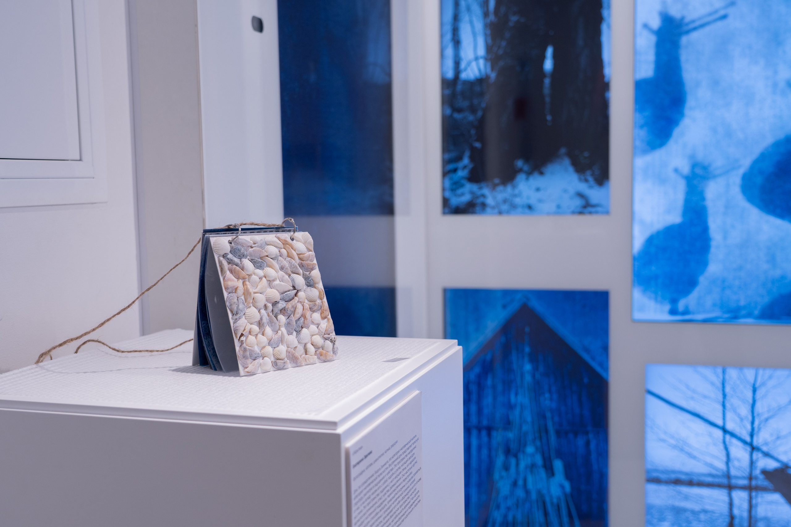 Укрытие. Катерина Эделева