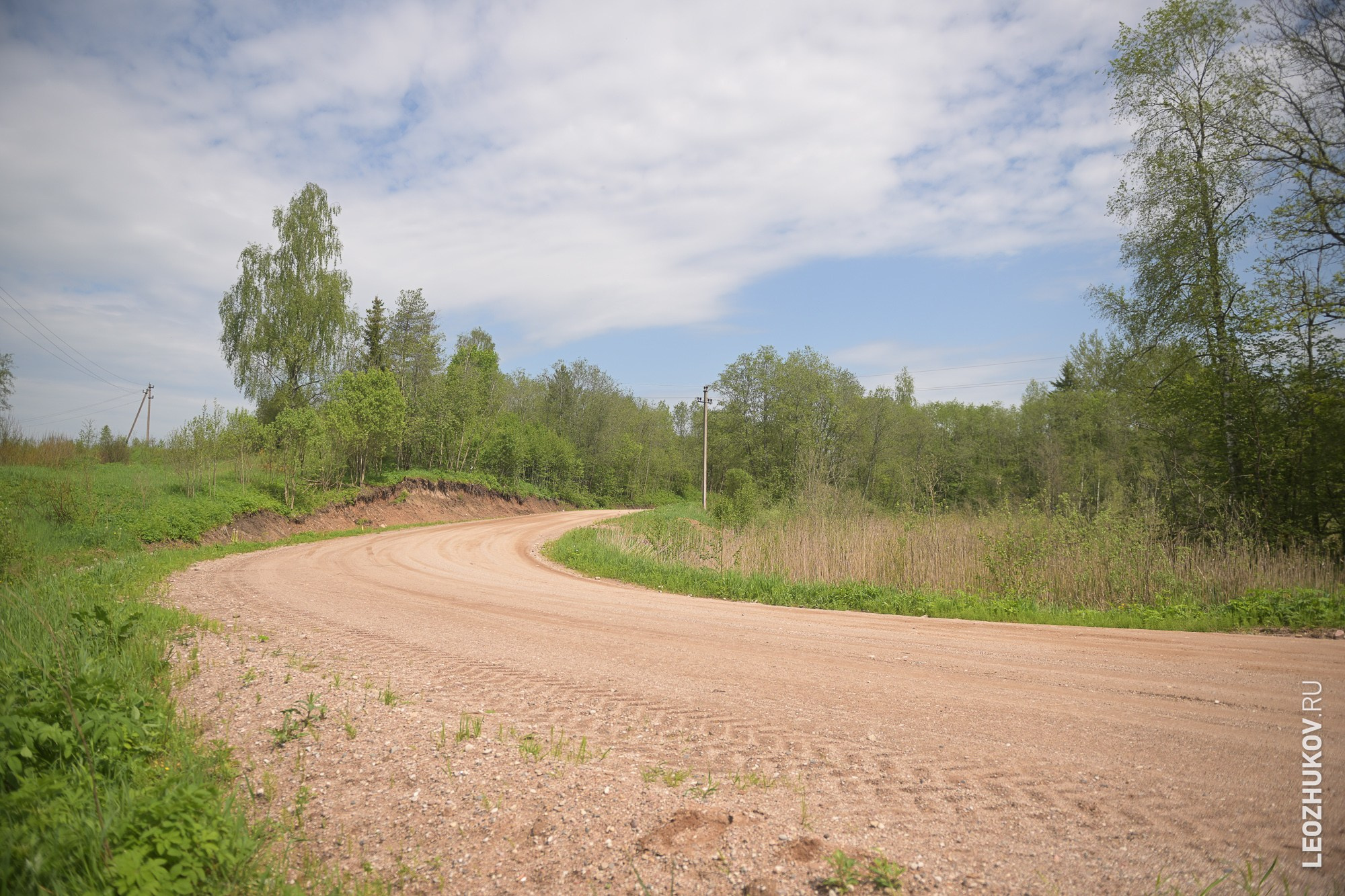 Rally Pushkinskie gory 2025. Sports photographer Leonid Zhukov