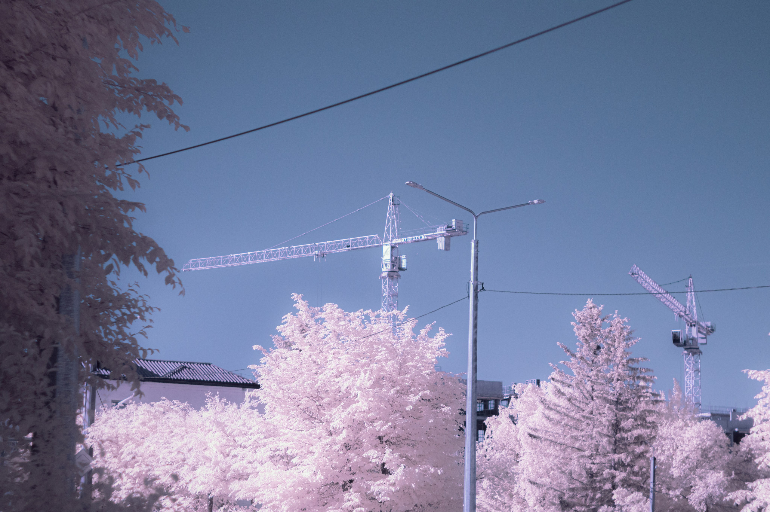 Infrared. AThumbnails