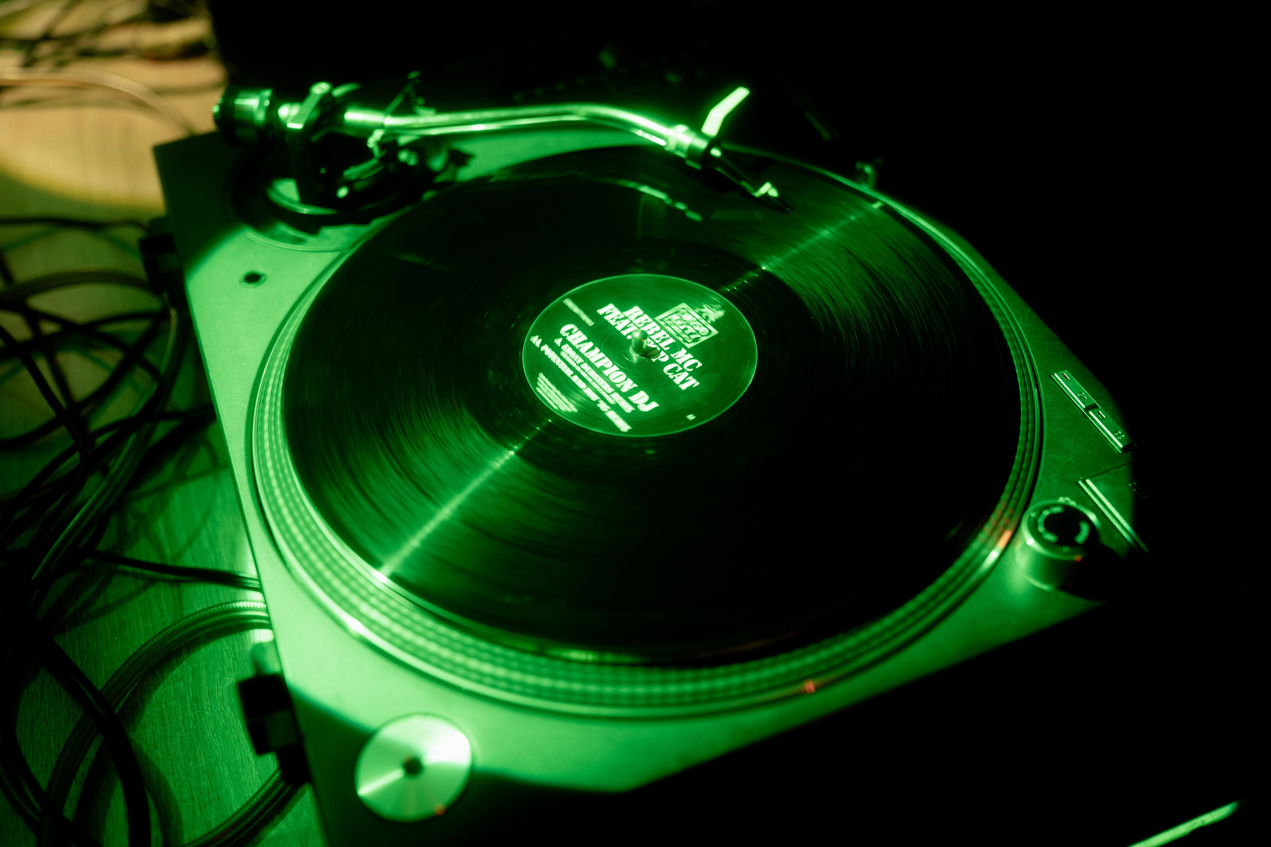 Кратная Звезда | JUNGLE WAVE. Фотограф Vika Rin