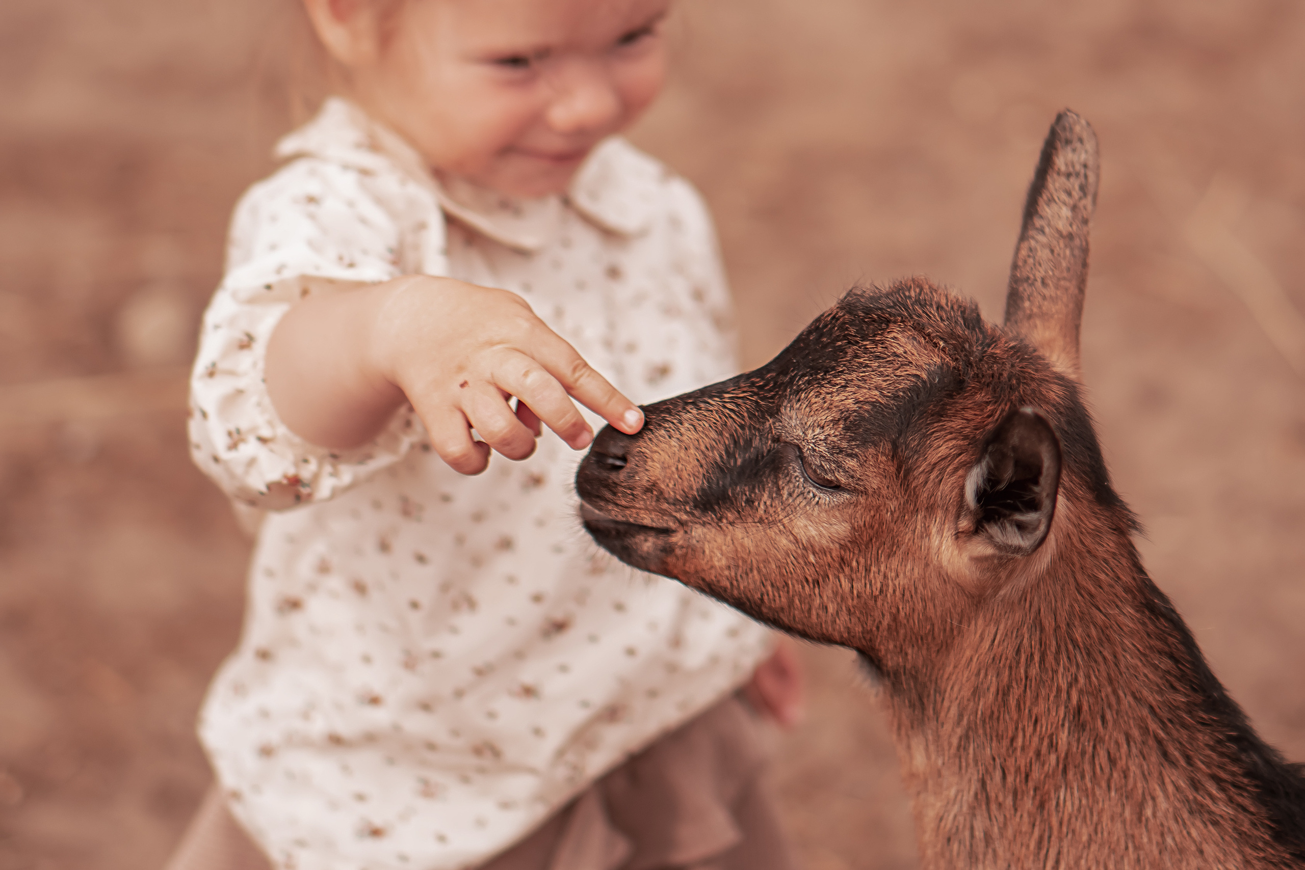 детиикозы, деревнялетом