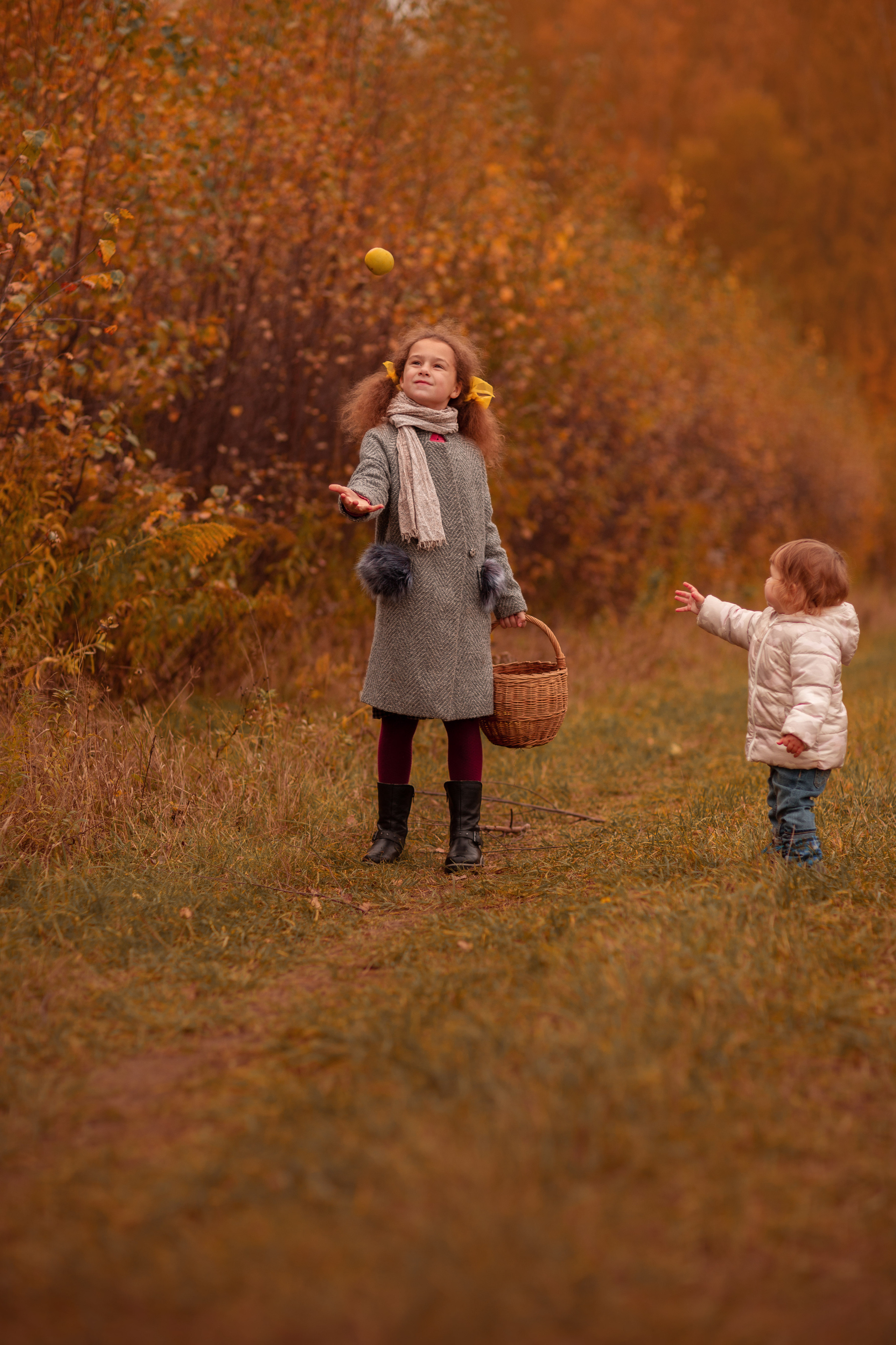 яблоки, осень, сестры