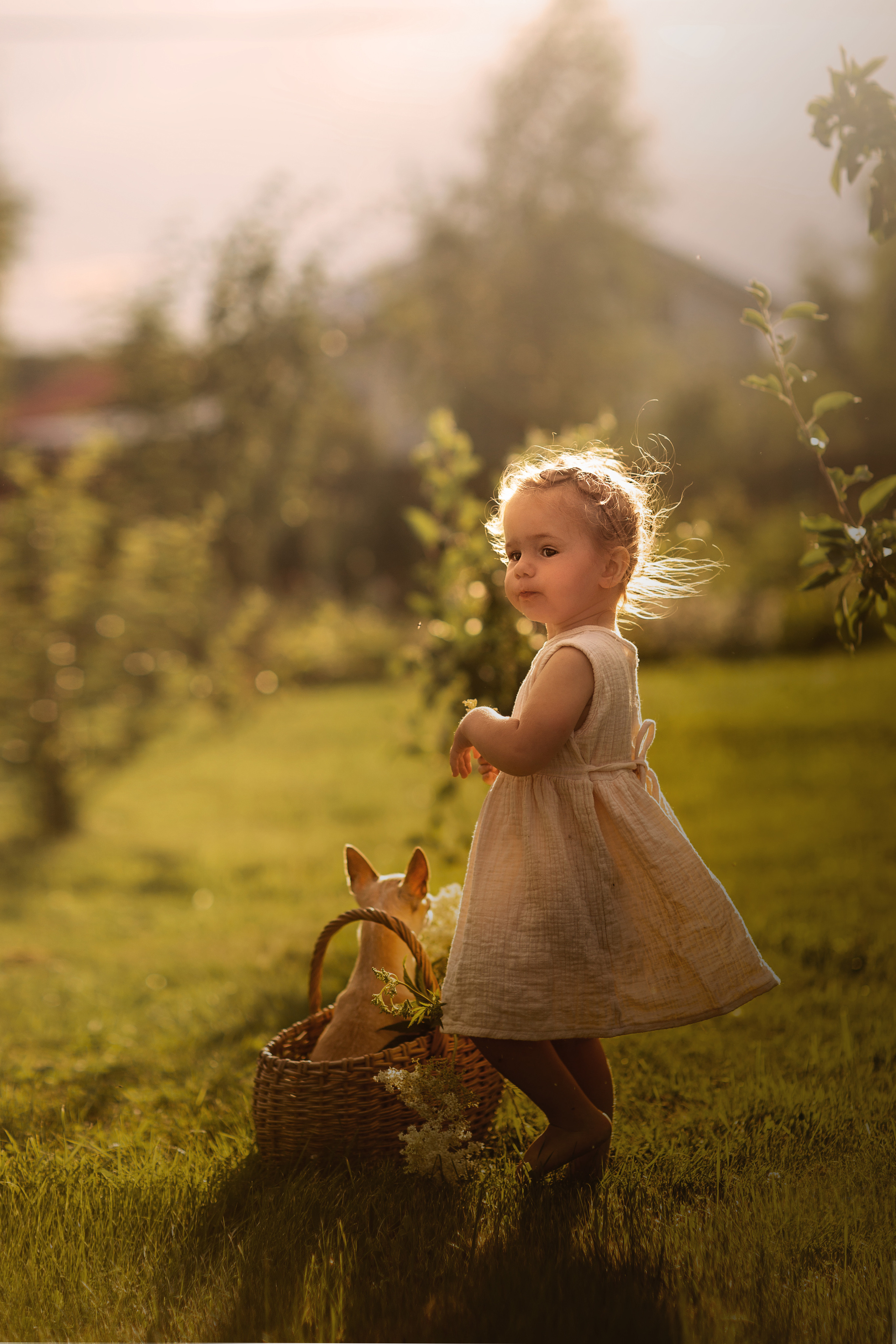 девочкаицветы, фотосессиянаприроде