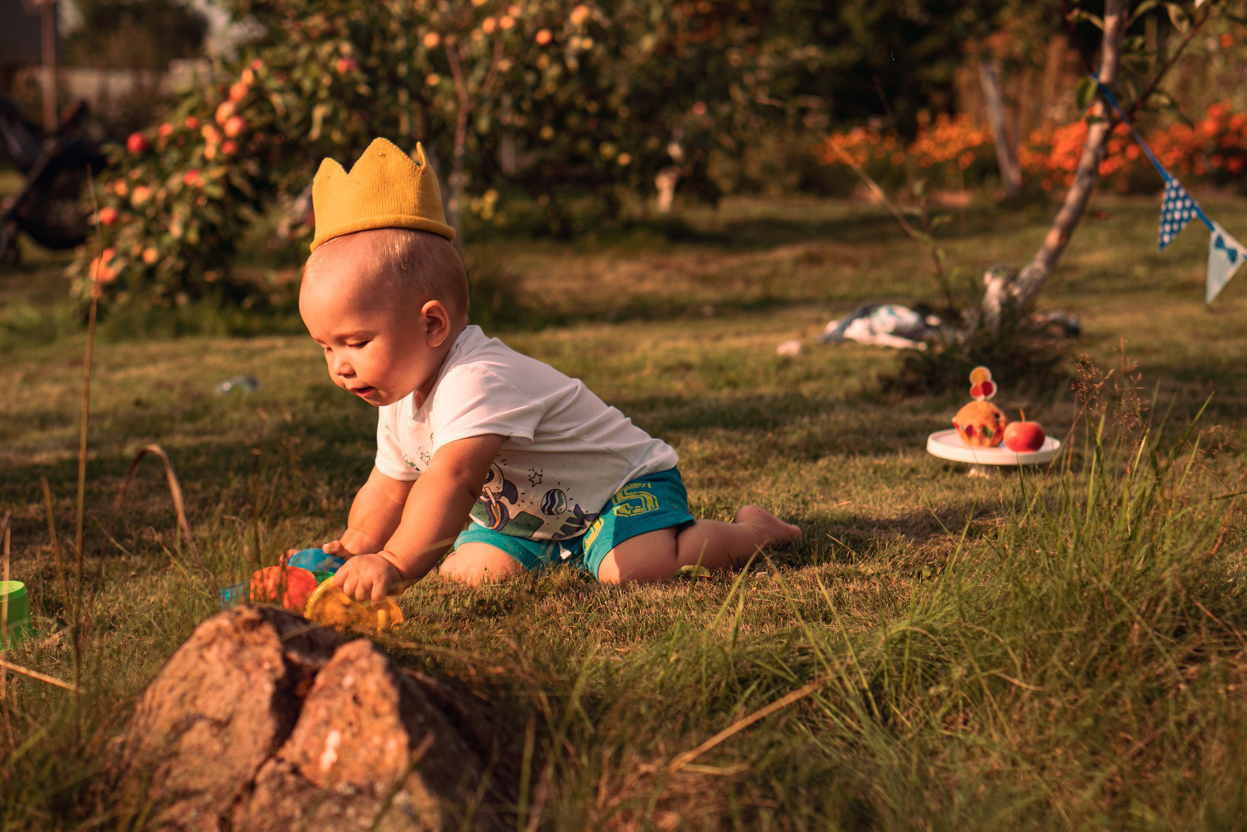 Королевский первый год