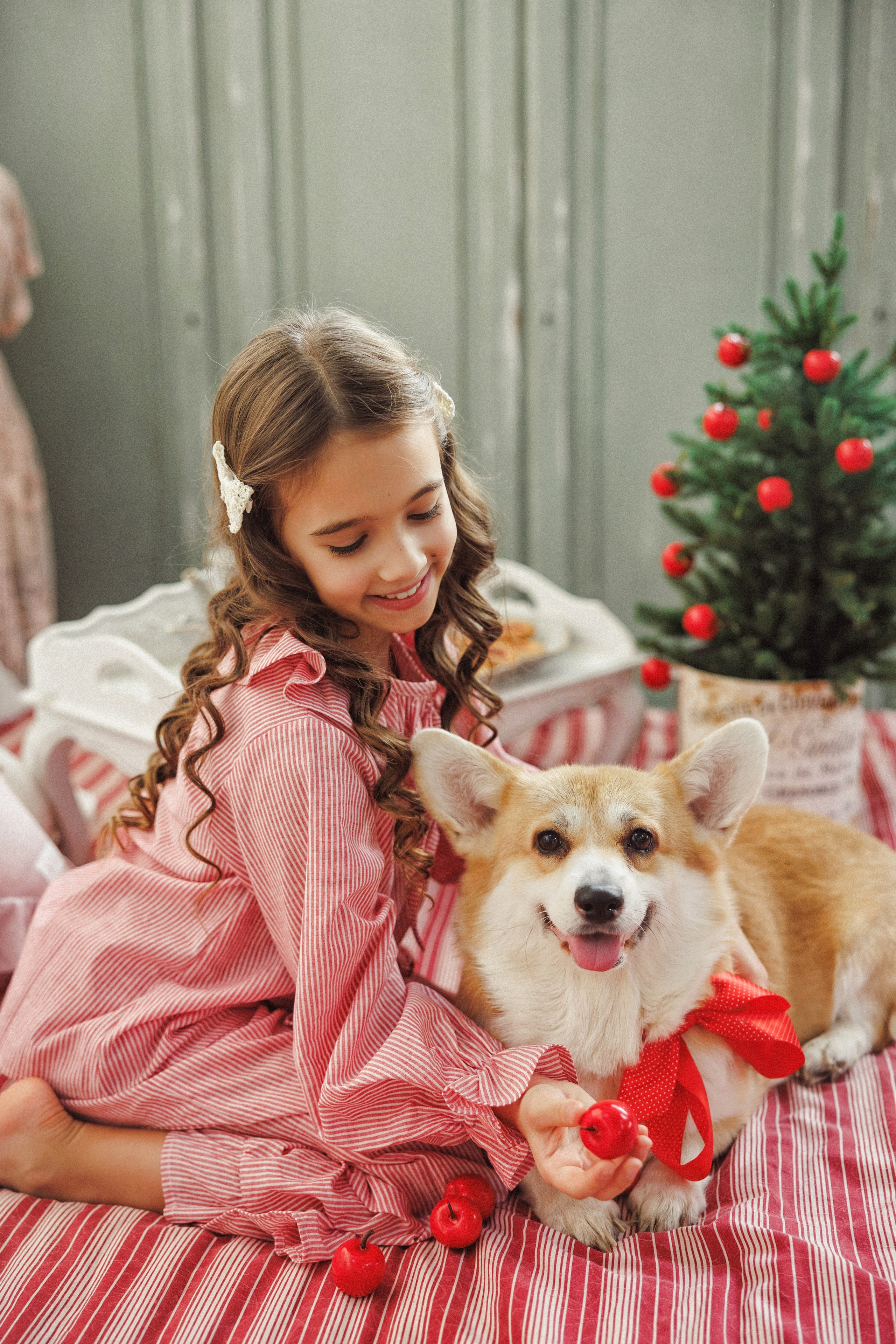 Новогодняя фотосессия с собачками породы Корги, город Краснодар. Семейный и детский фотограф в Краснодаре Анна Трашкова