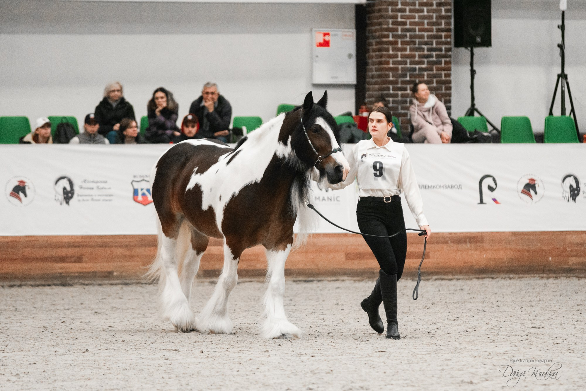 8-я международная выставка Конная Россия. Конный фотограф Куракина Дарья • Фотосессии с лошадьми