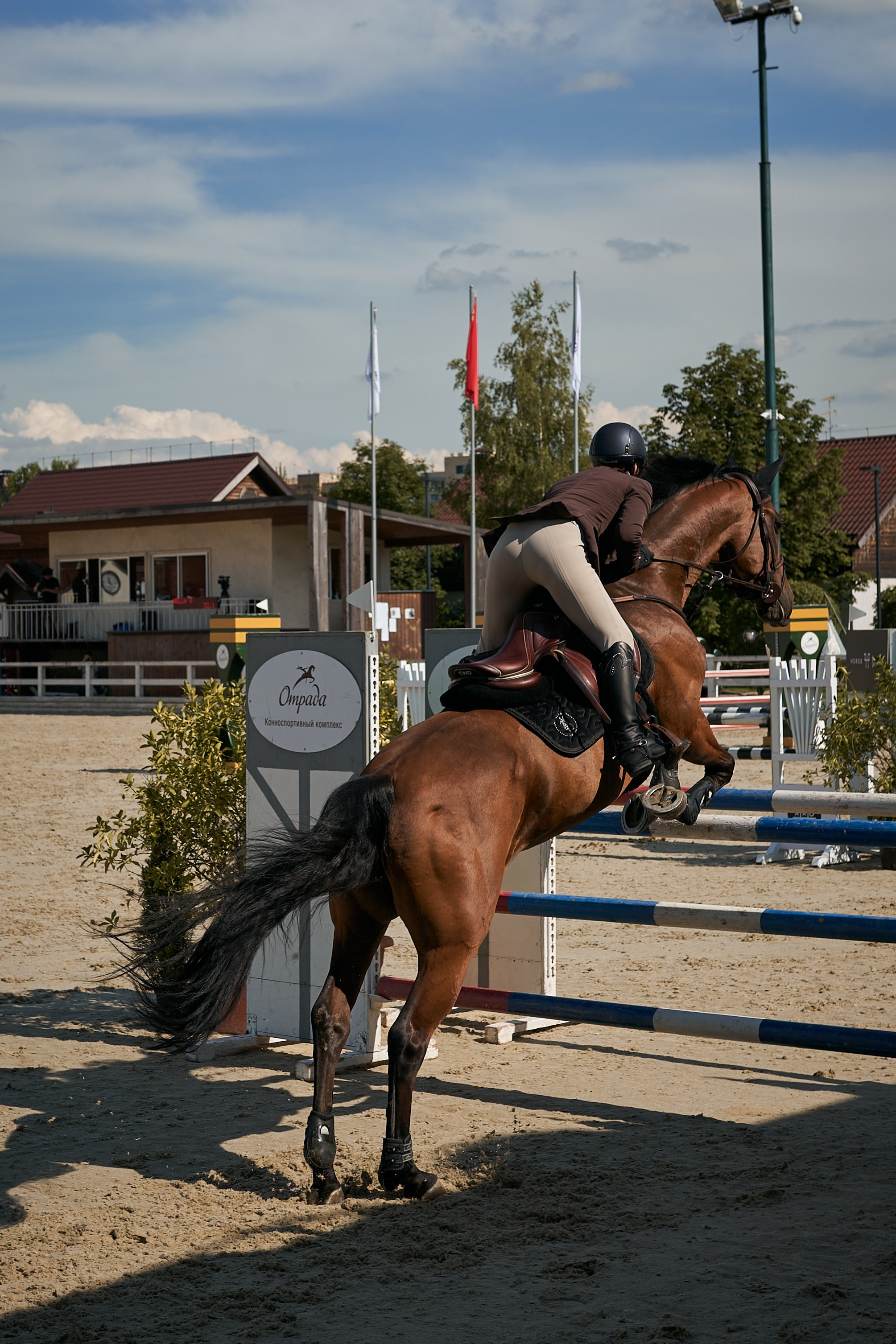 Алиса и Кон Челла В. Фотосессии с лошадьми в Москве, Новосибирске