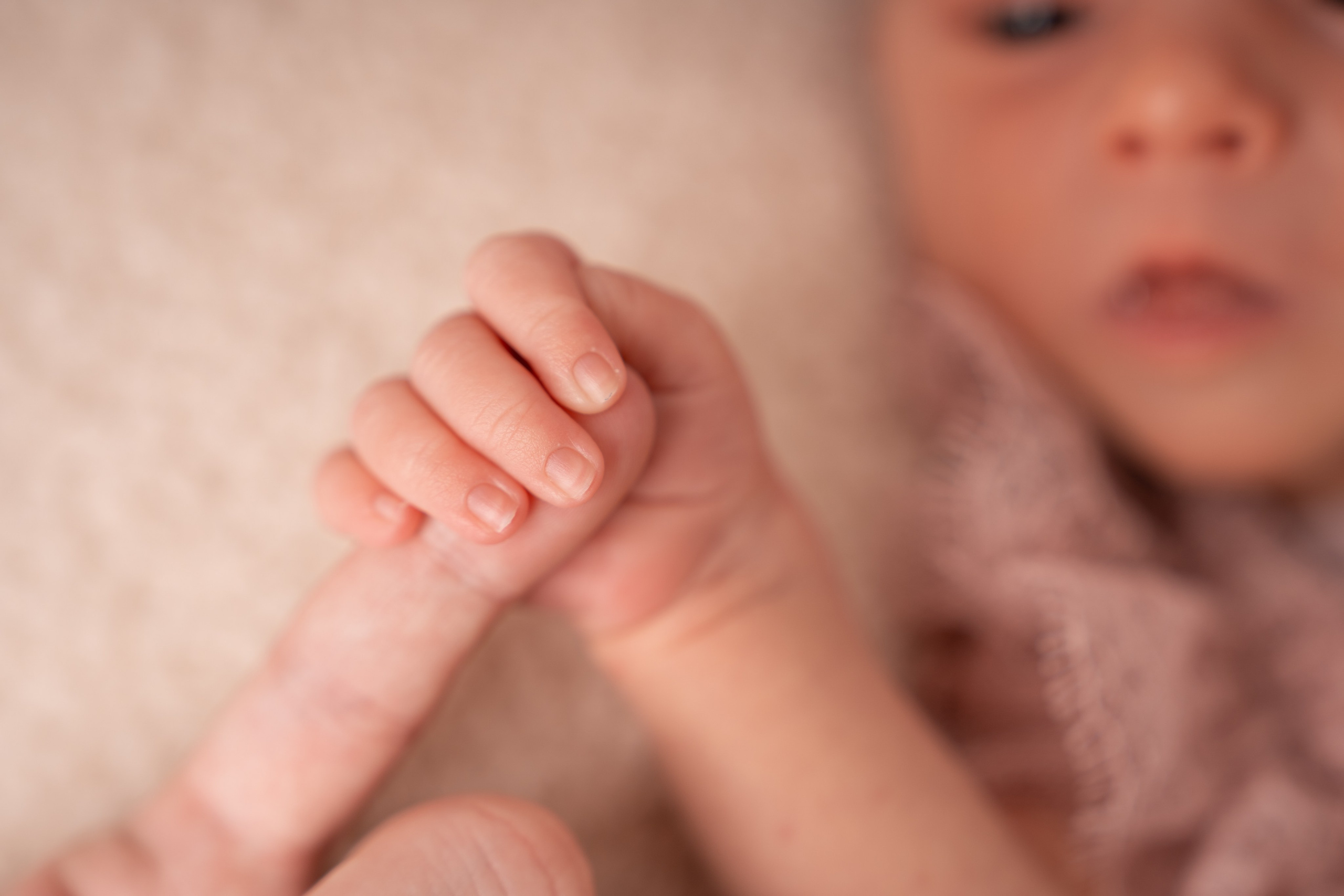 Newborn. Фотограф новорожденных в Москве, Зеленограде, МО, Дмитриева Дарья