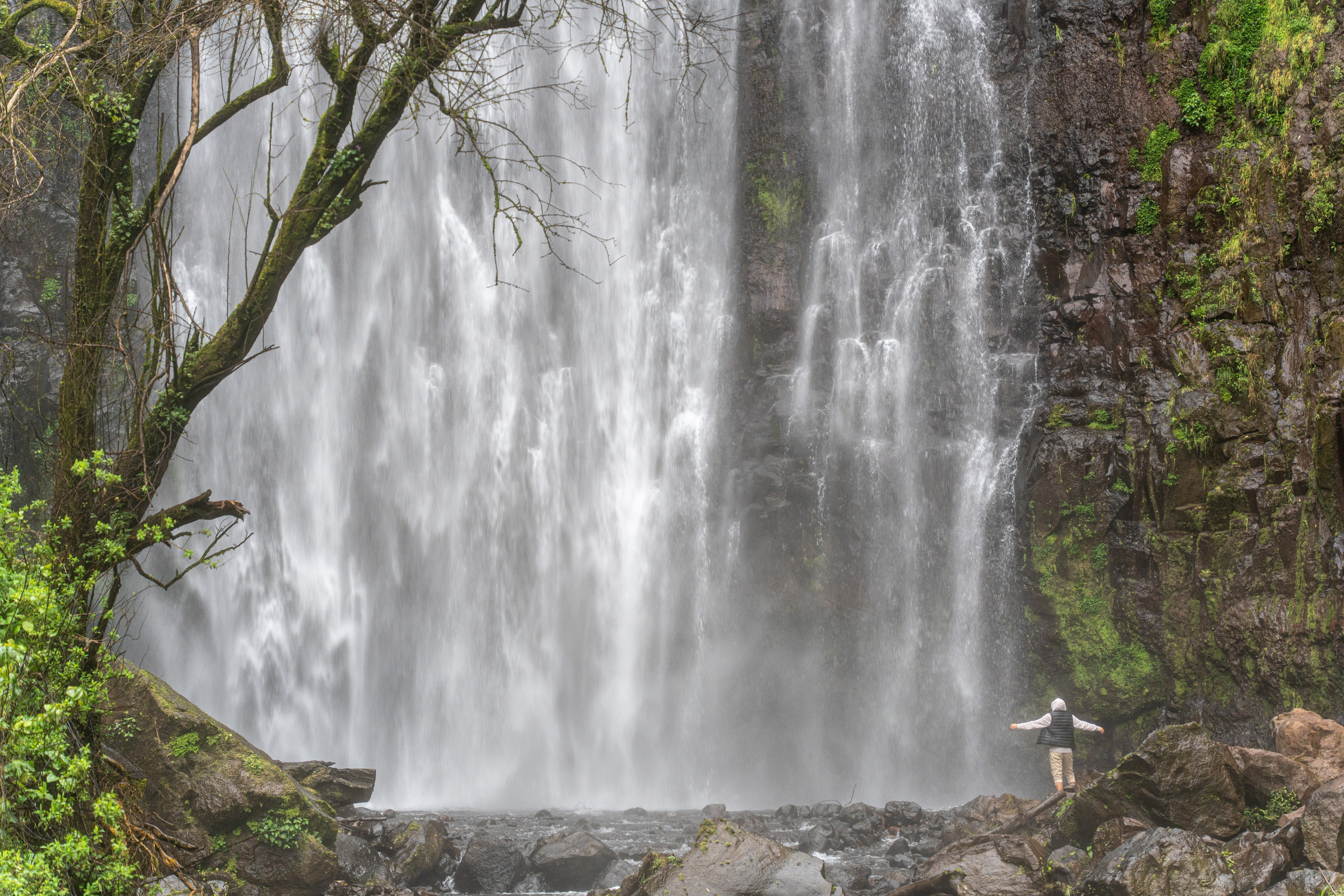Танзания, сафари, 2025. Творческие сьемки