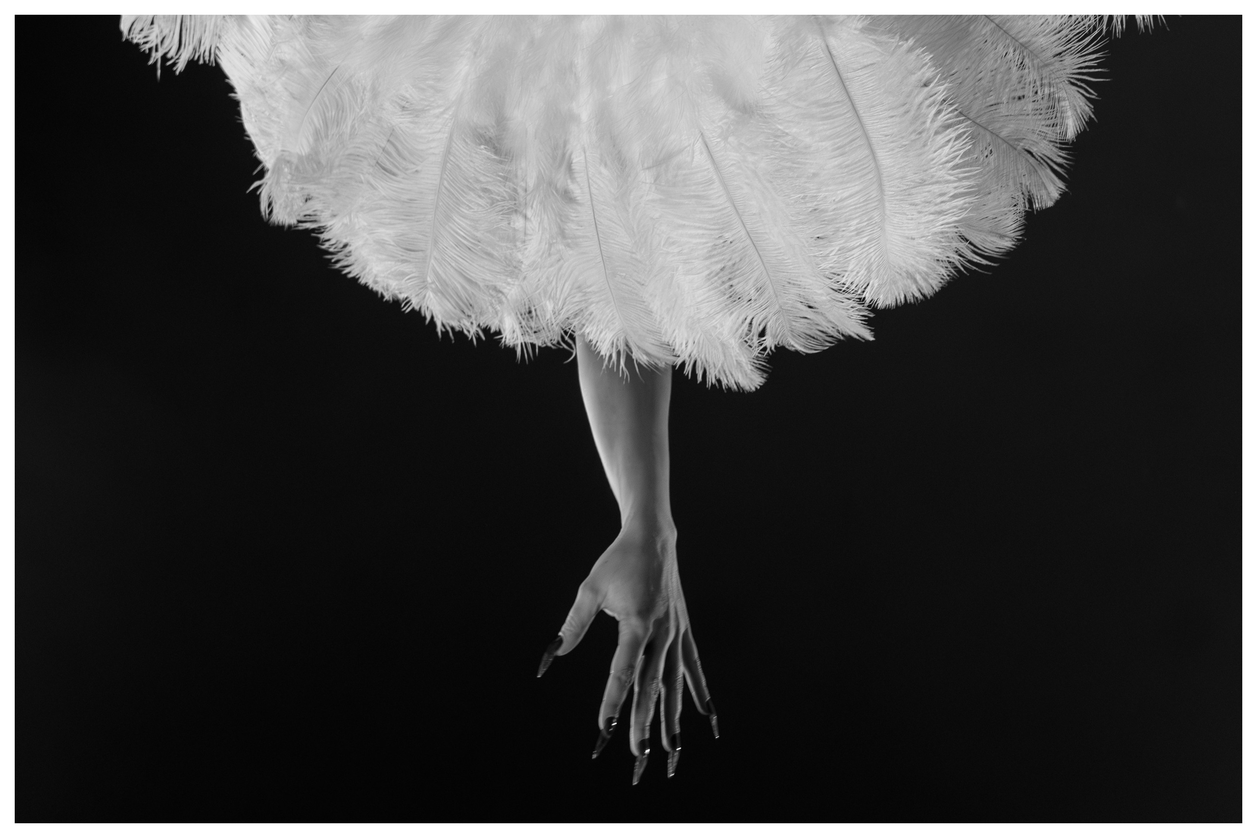 Частные съемки. Главная