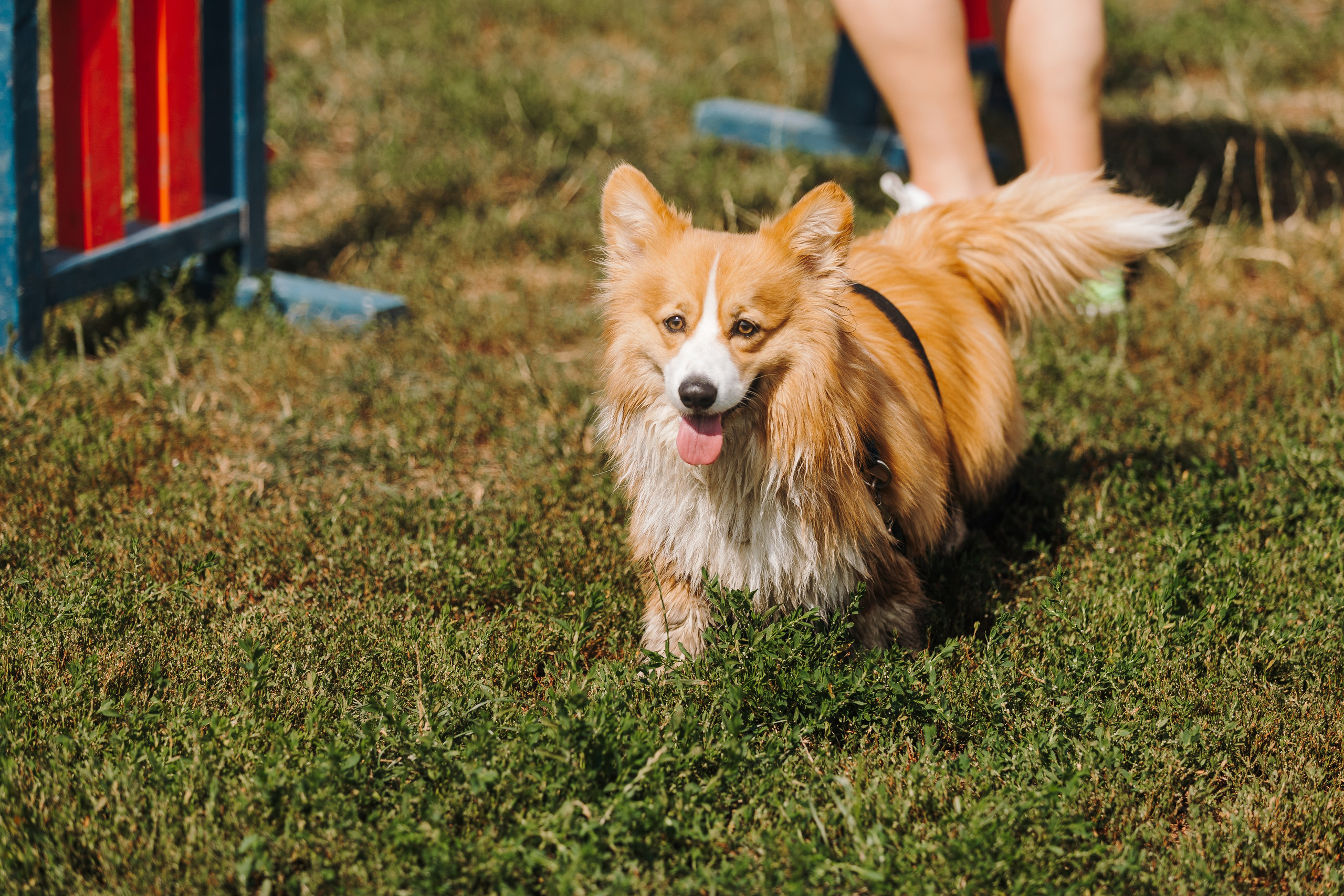 Petshop Sup day. Фотограф анималист Кристина Карпова, Москва