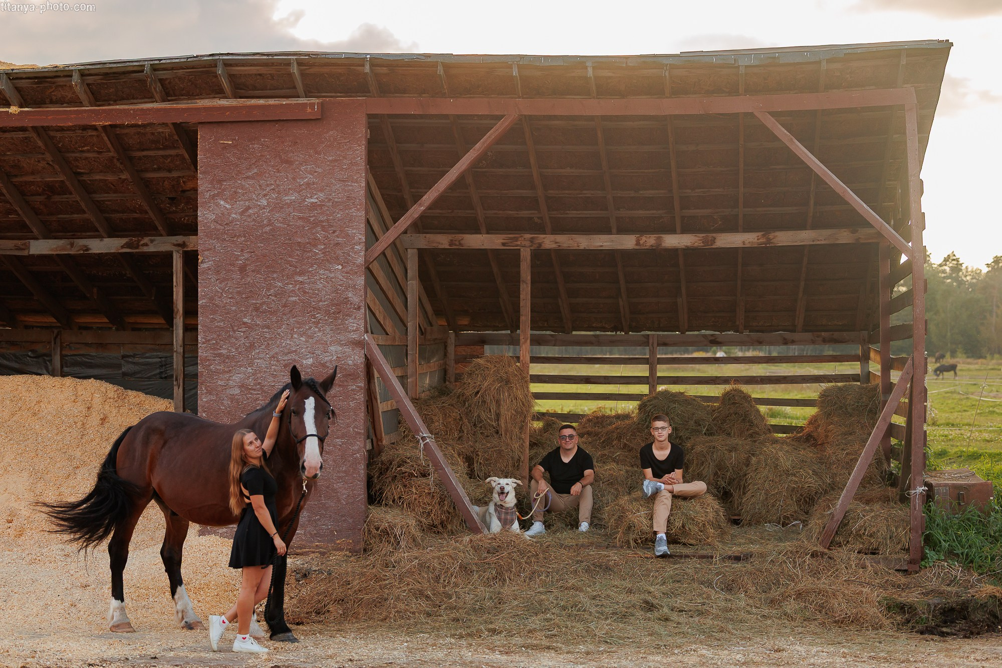 Закатная семейная фотосессия: про Настю и её дружную семью. Фотограф собак, фотограф-анималист Аня Титова (Titanya). Москва