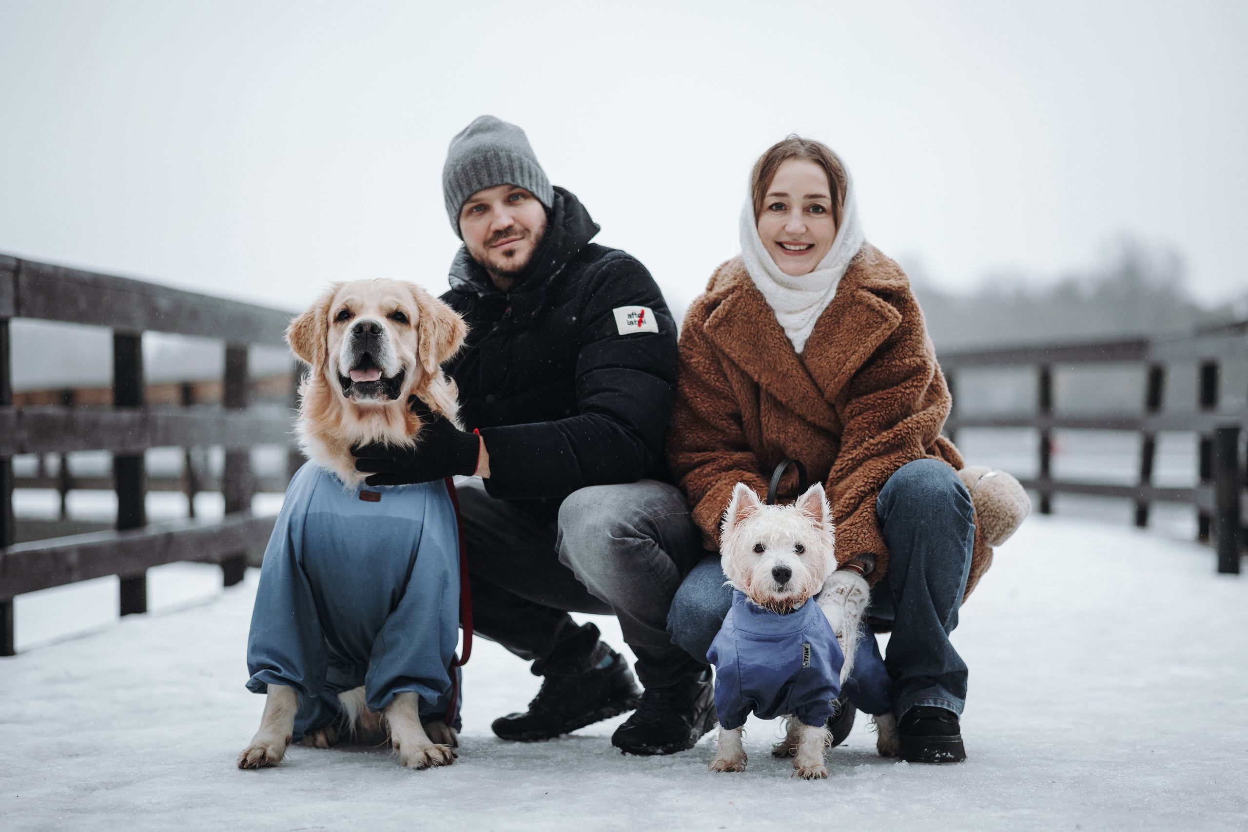 Шелби, Ватсон и ребята. Фотограф — Анималист | Санкт-Петербург