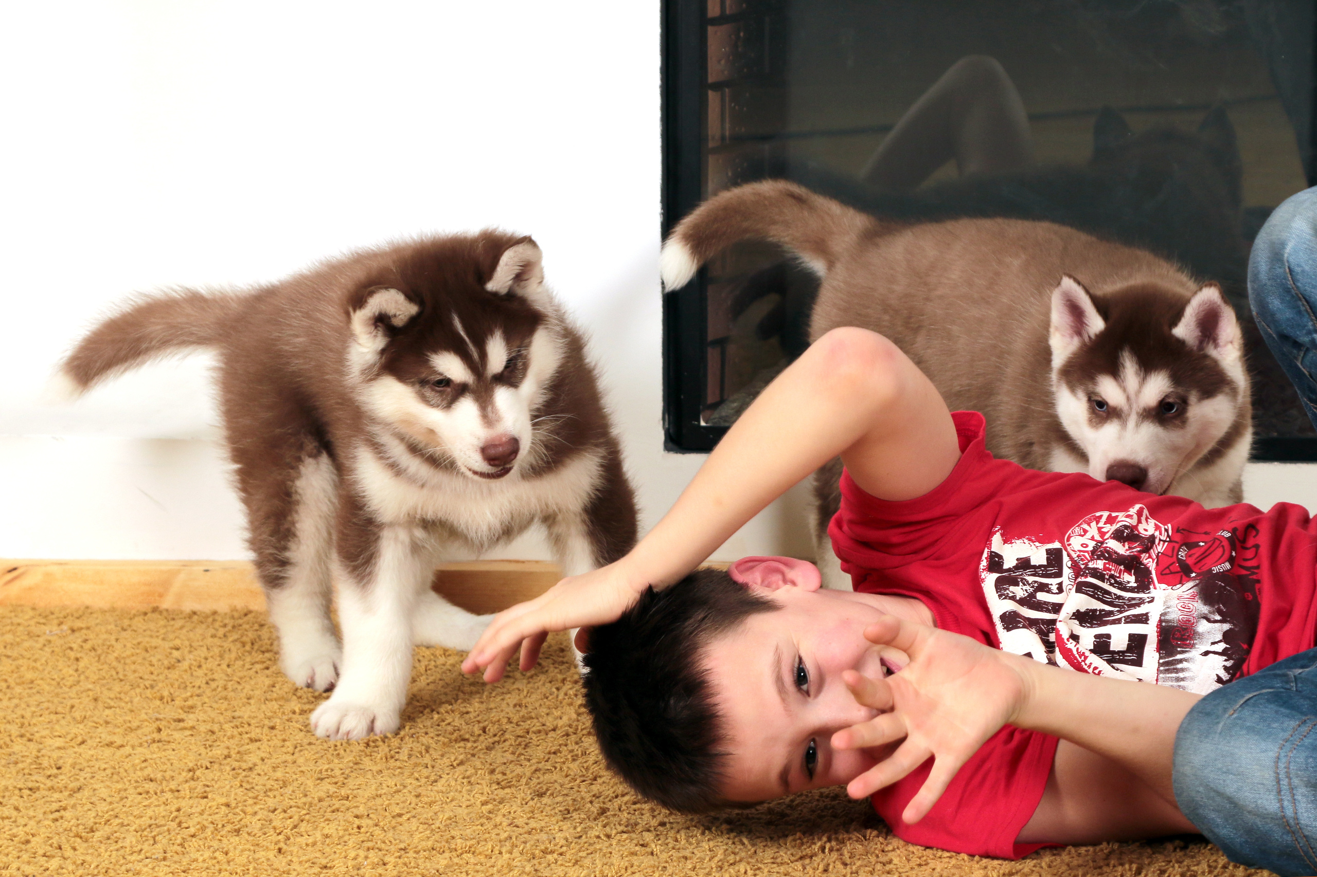 С питомцами. Аквасъемка С-Пб, выпускные фотоальбомы, детский фотограф, Спб