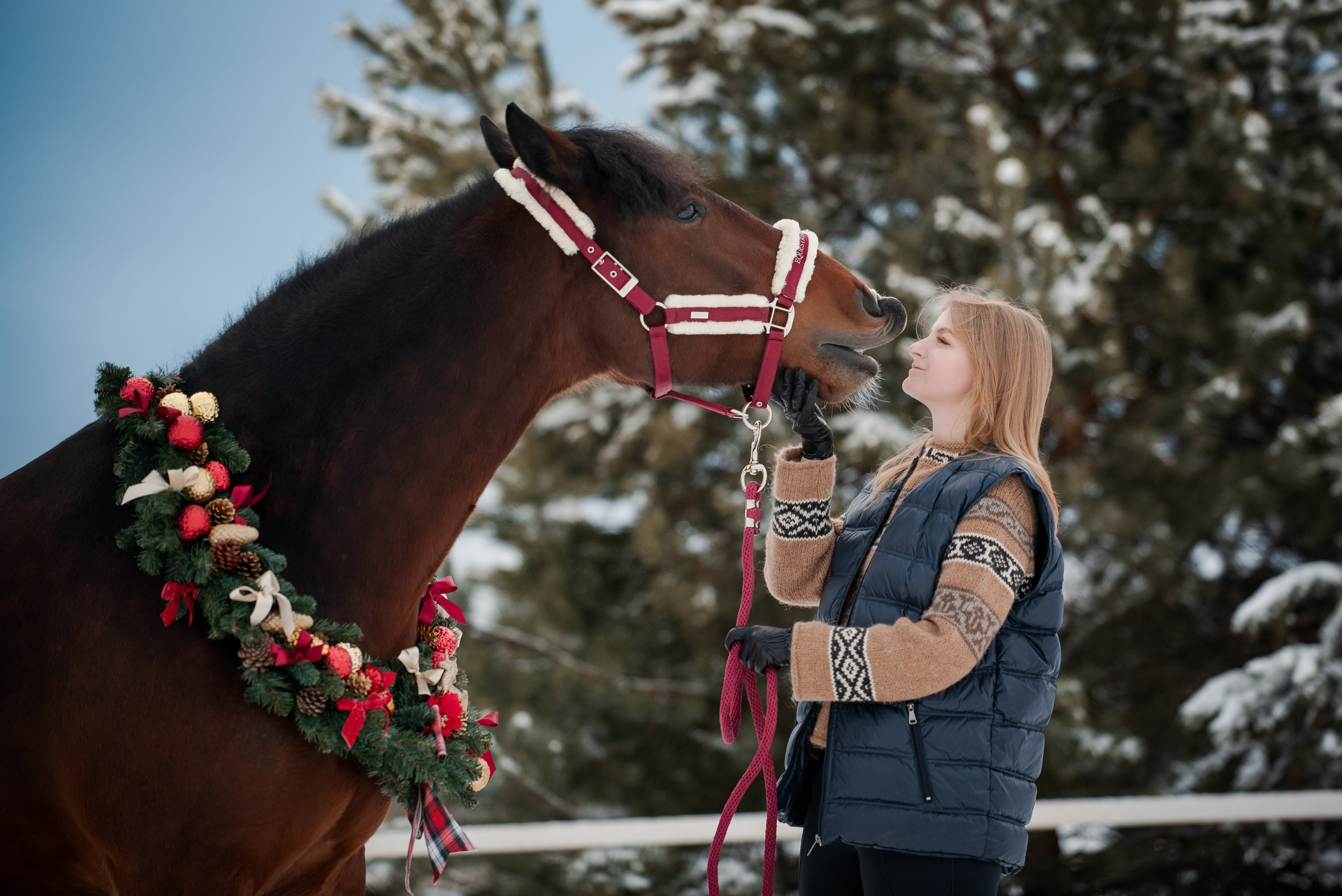 Зимний Настасьин табун. Куракина Дарья • Конный фотограф