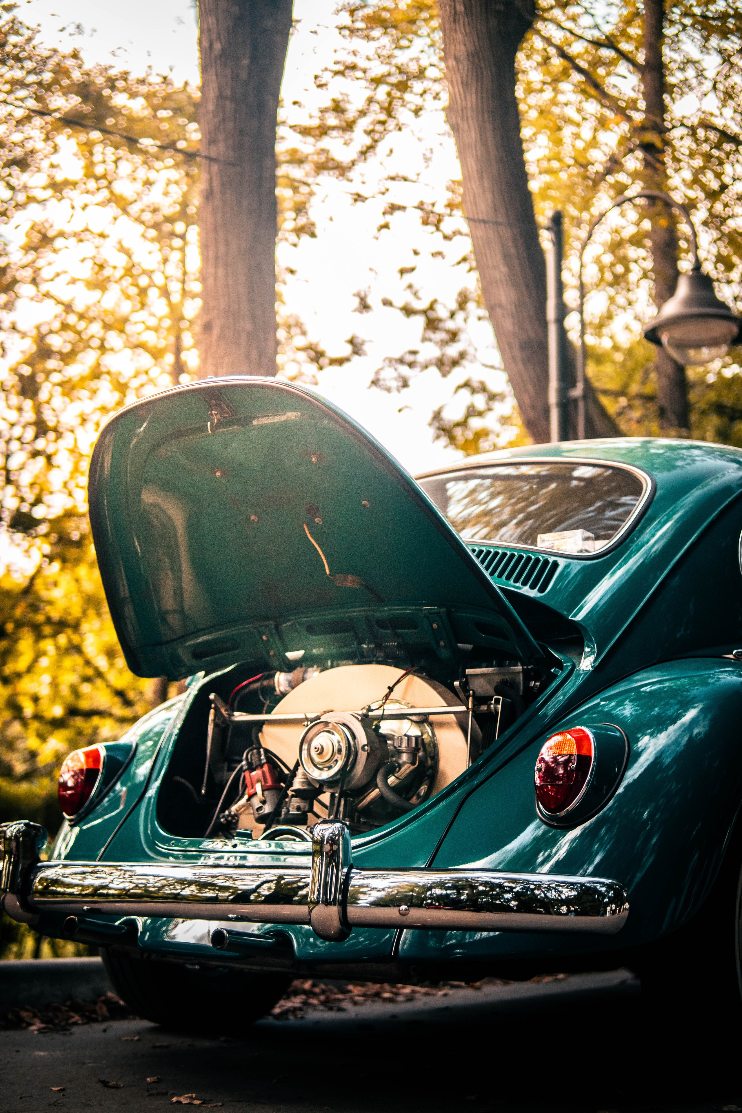 Car. Фотограф/Видеограф