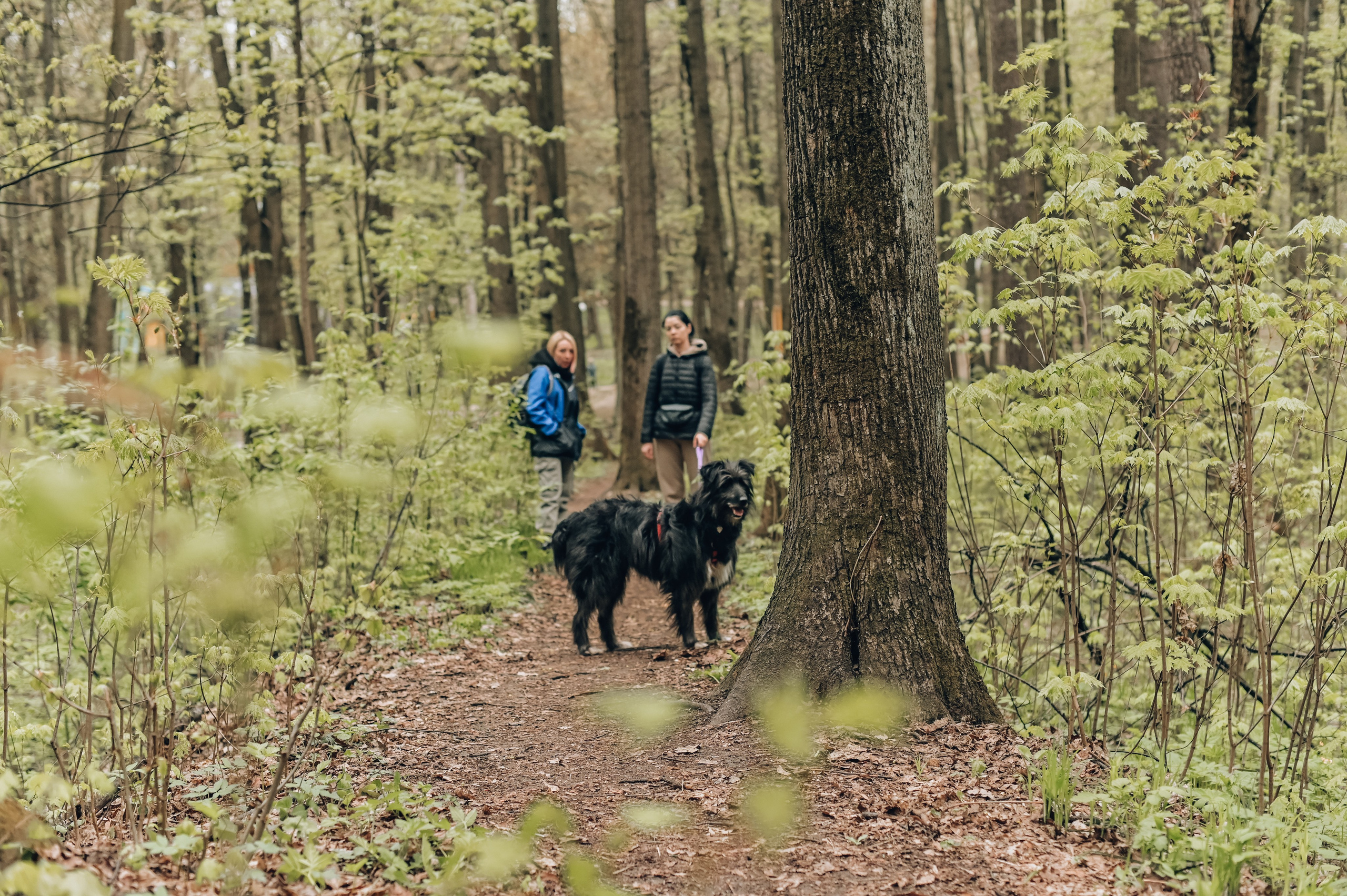 Занятие с кинологом. Семейный и репортажный фотограф в Москве Анастасия Трубкина