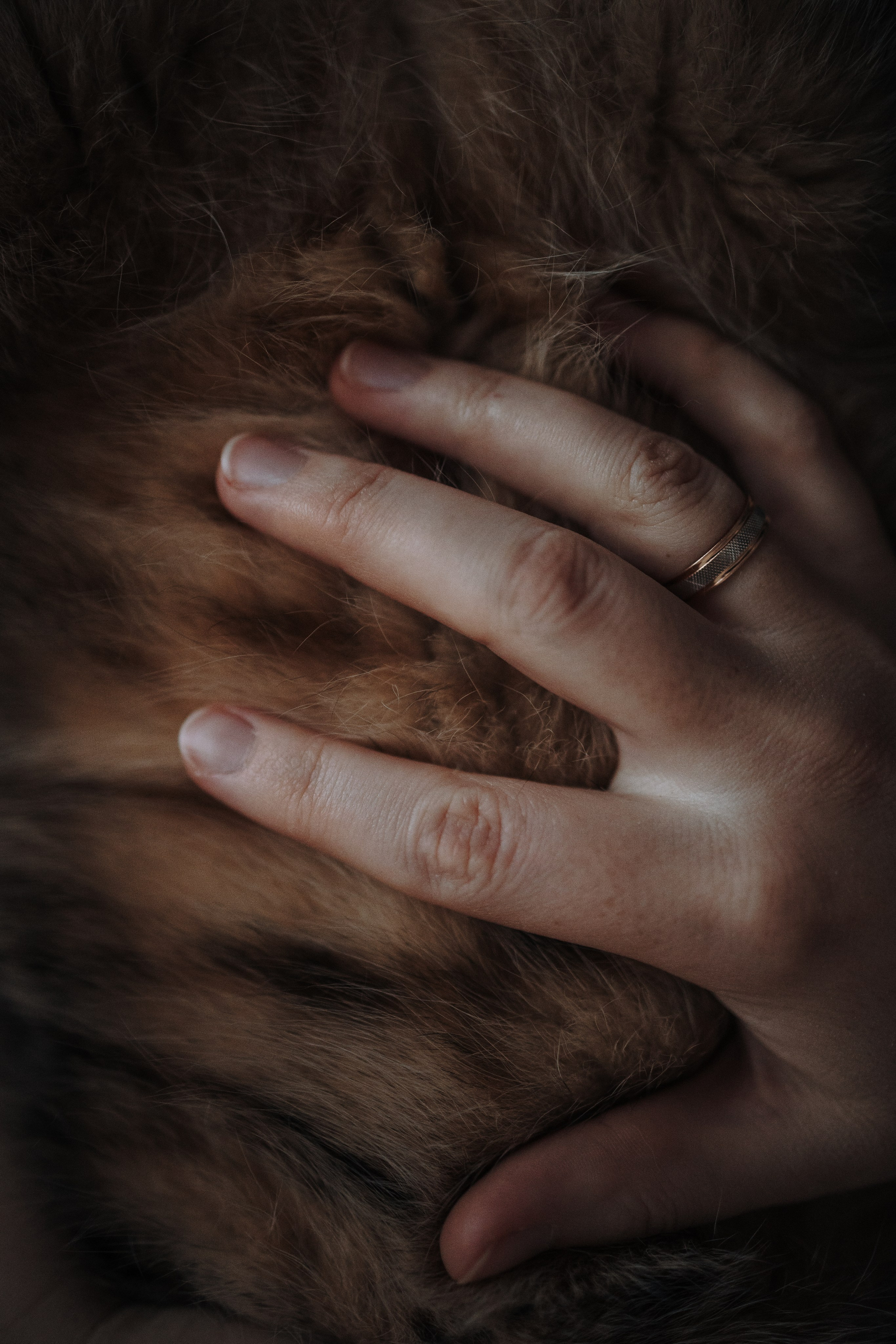 Мася и ее семья. Фотограф — Анималист | Санкт-Петербург