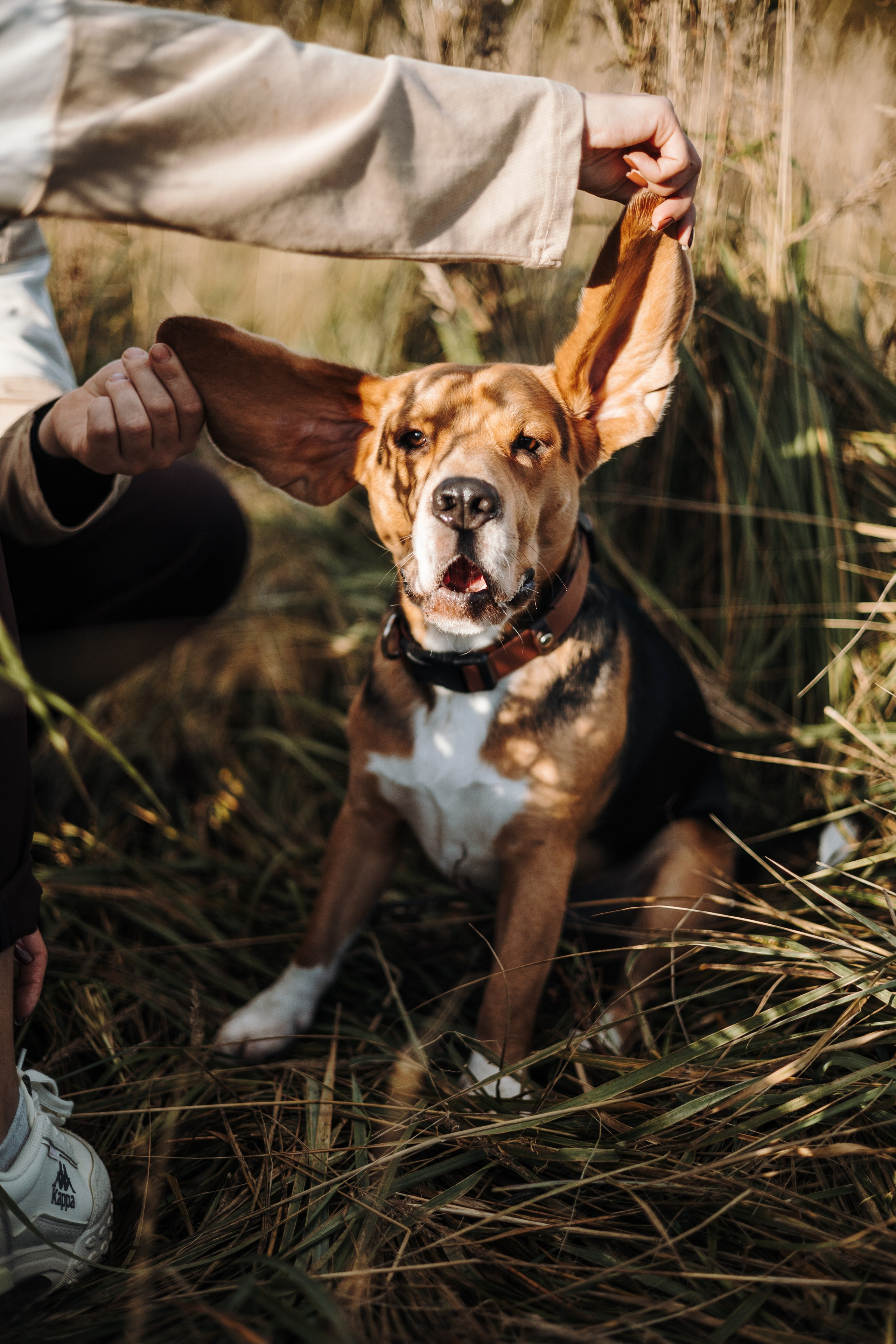 Оуджи и его семья. Фотограф — Анималист | Санкт-Петербург