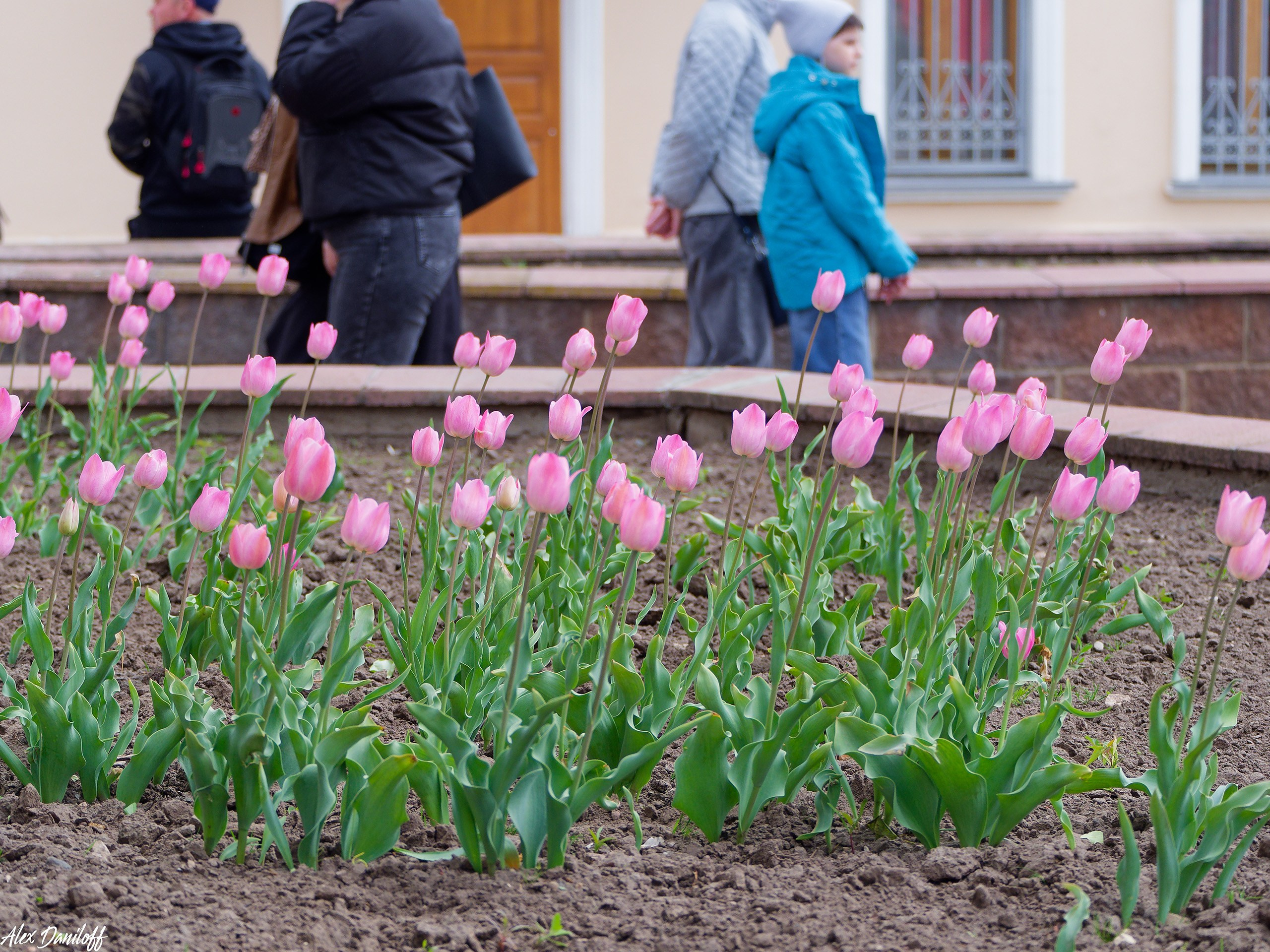День Победы 2025. Муром-Инфо. Новости культуры, образования, спорта в городе Муром