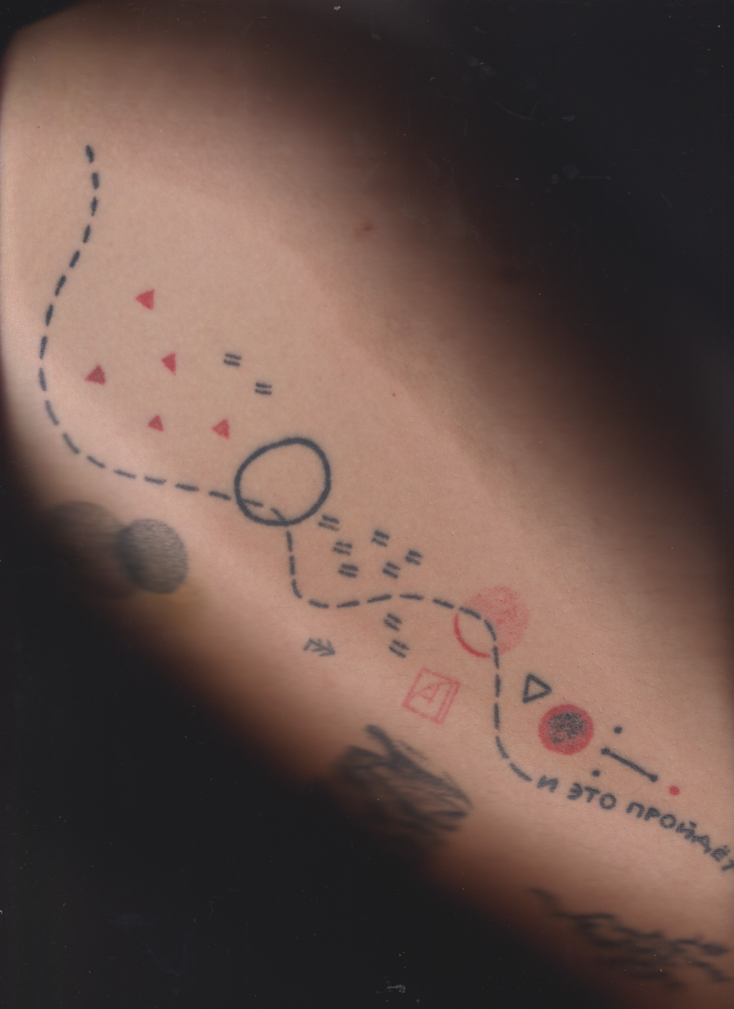 SEDIMENTS AND FOSSILS. Xexexena.ru