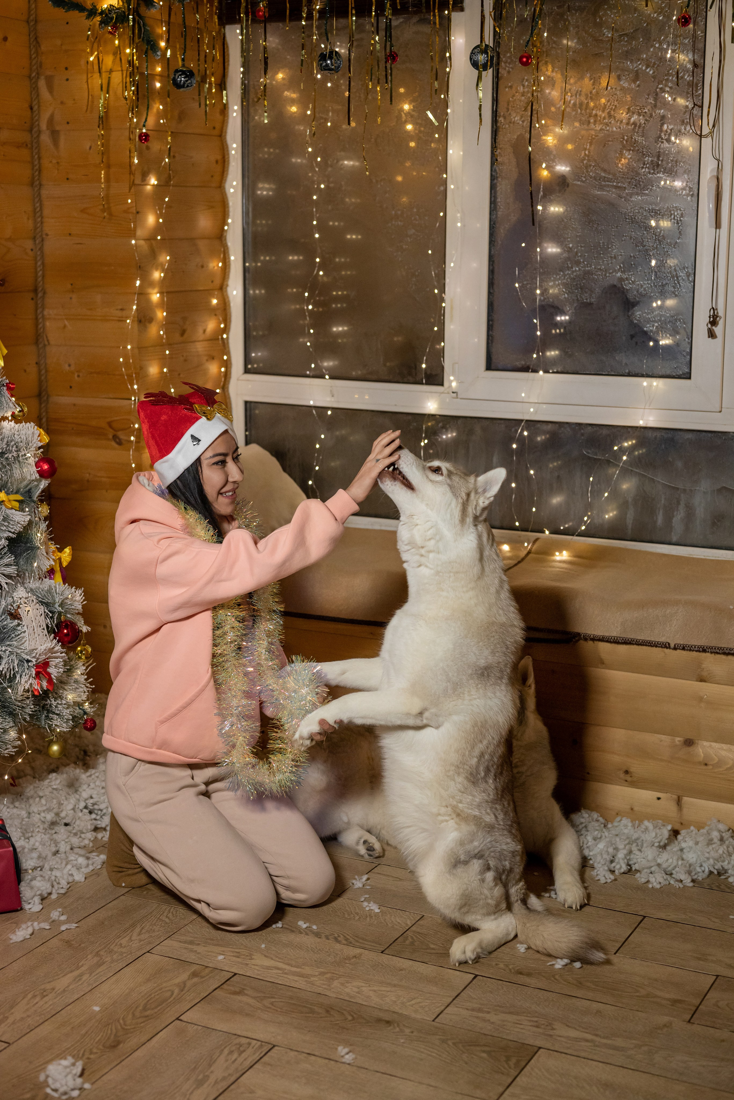 Фотопроект с хаски 2025 г. Фотограф в городе Салават