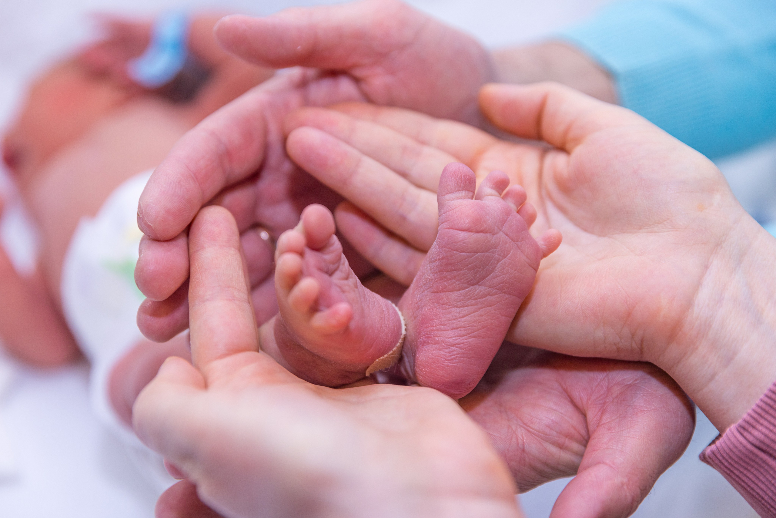 NewBorn, Выписки из роддома. Тархановский Павел Фото/Видео съёмка
