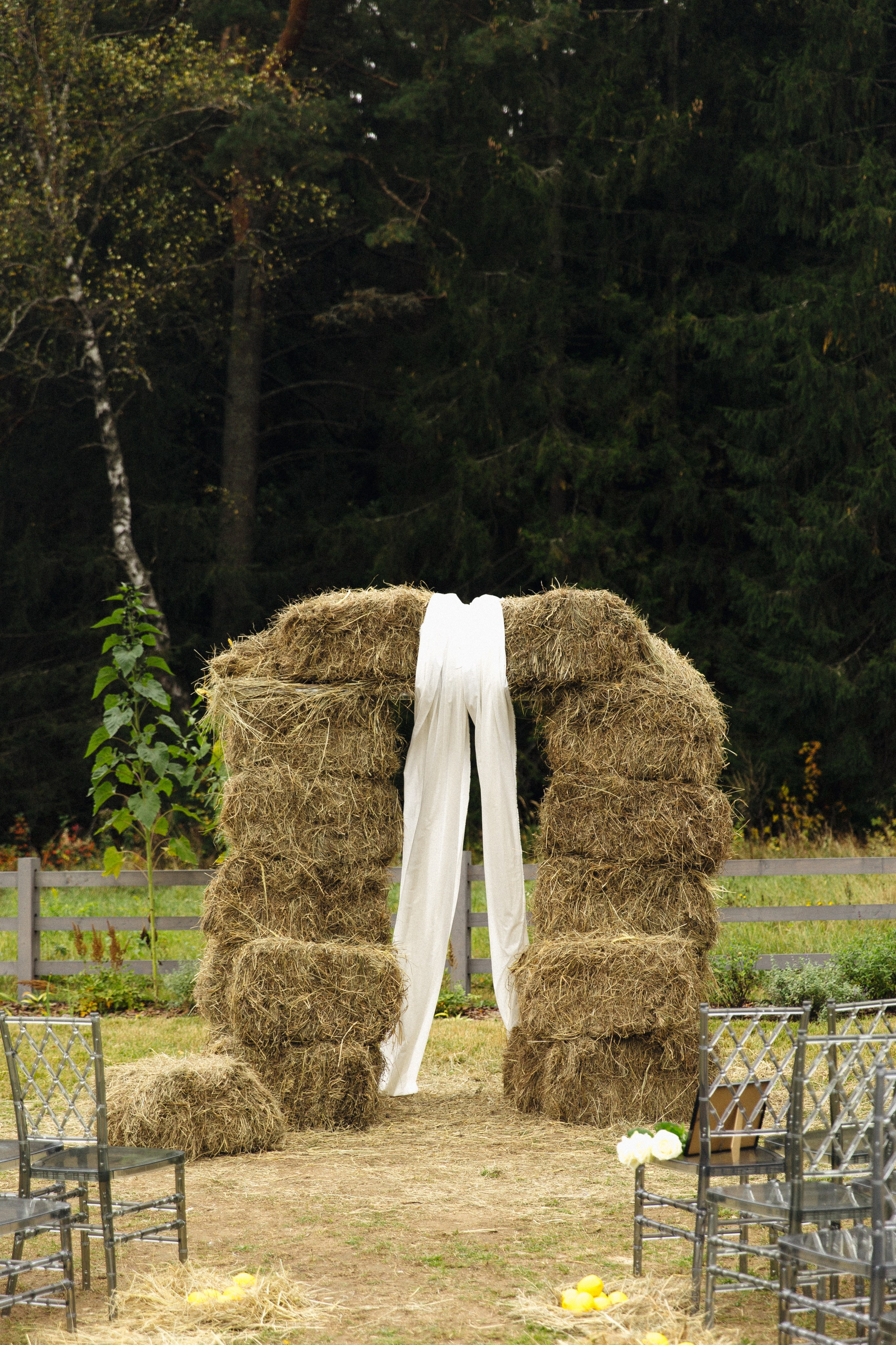 V & D. Свадебный фотограф Екатерина Садчикова