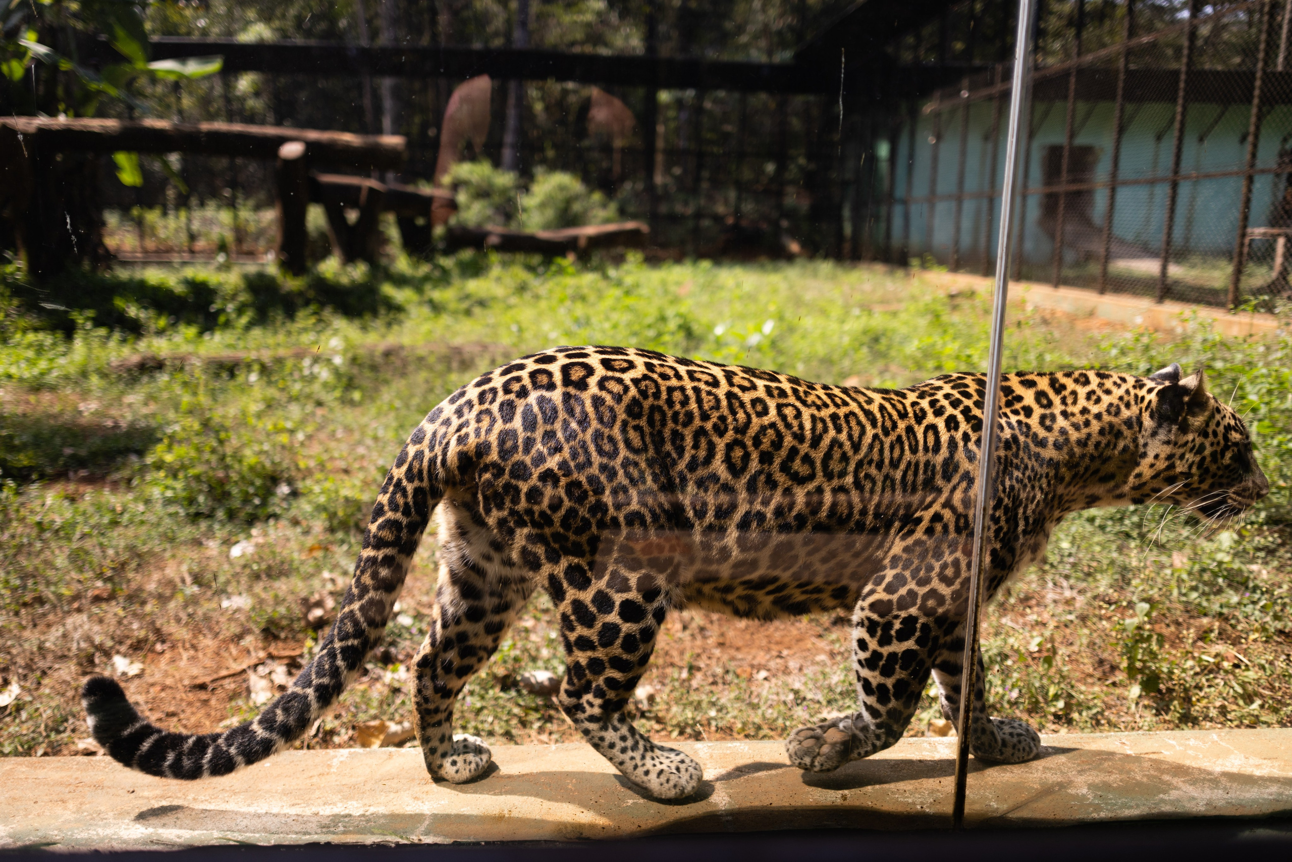 ГОА 2024. Руслан Плахтеев