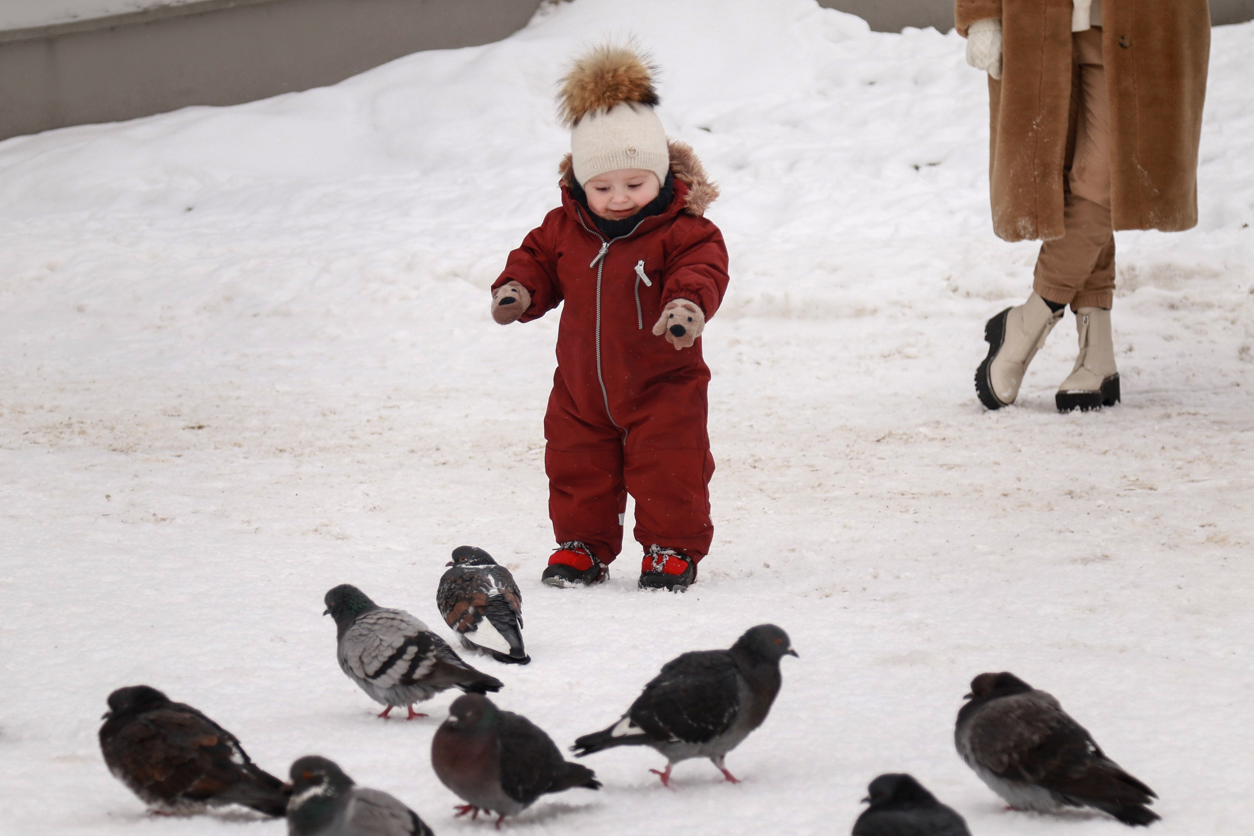 Красотки на снежной прогулке. Фотограф Зеленоградск Лиана Сопина