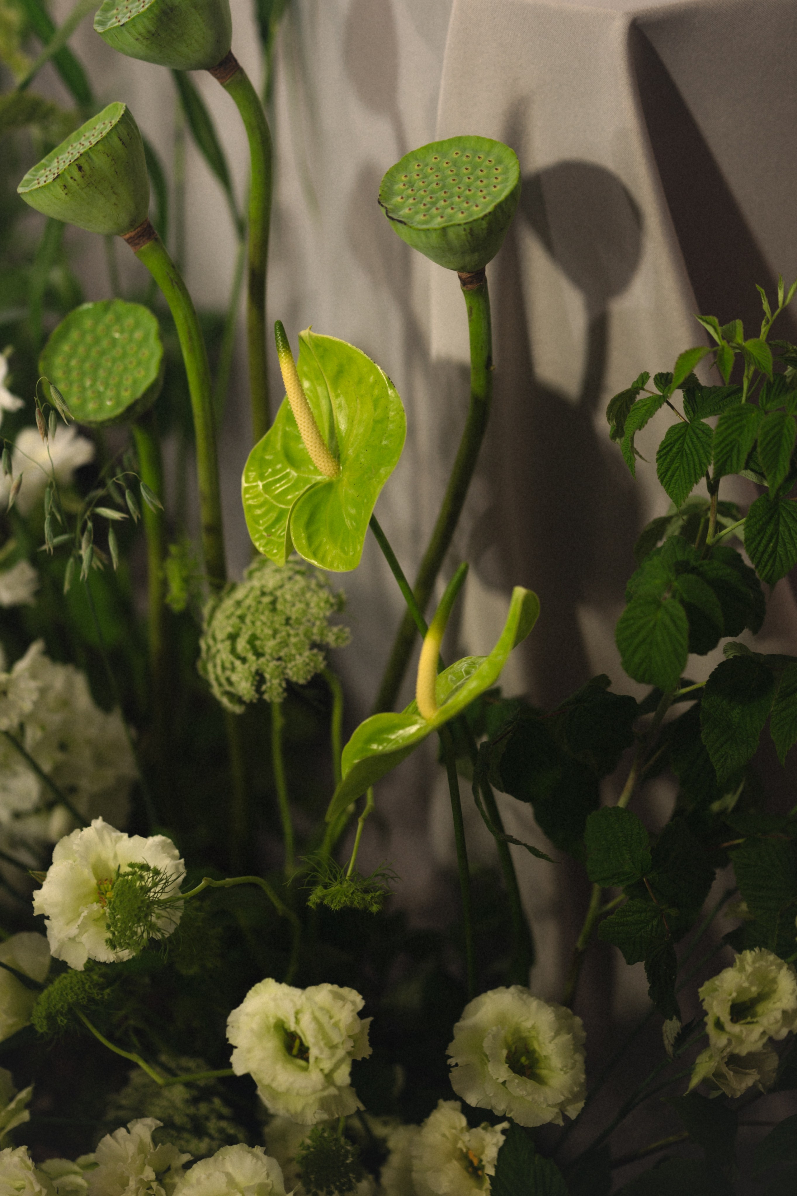 Мария и Никита. Бунгало в Москве.Аренда Бунгало в Мск